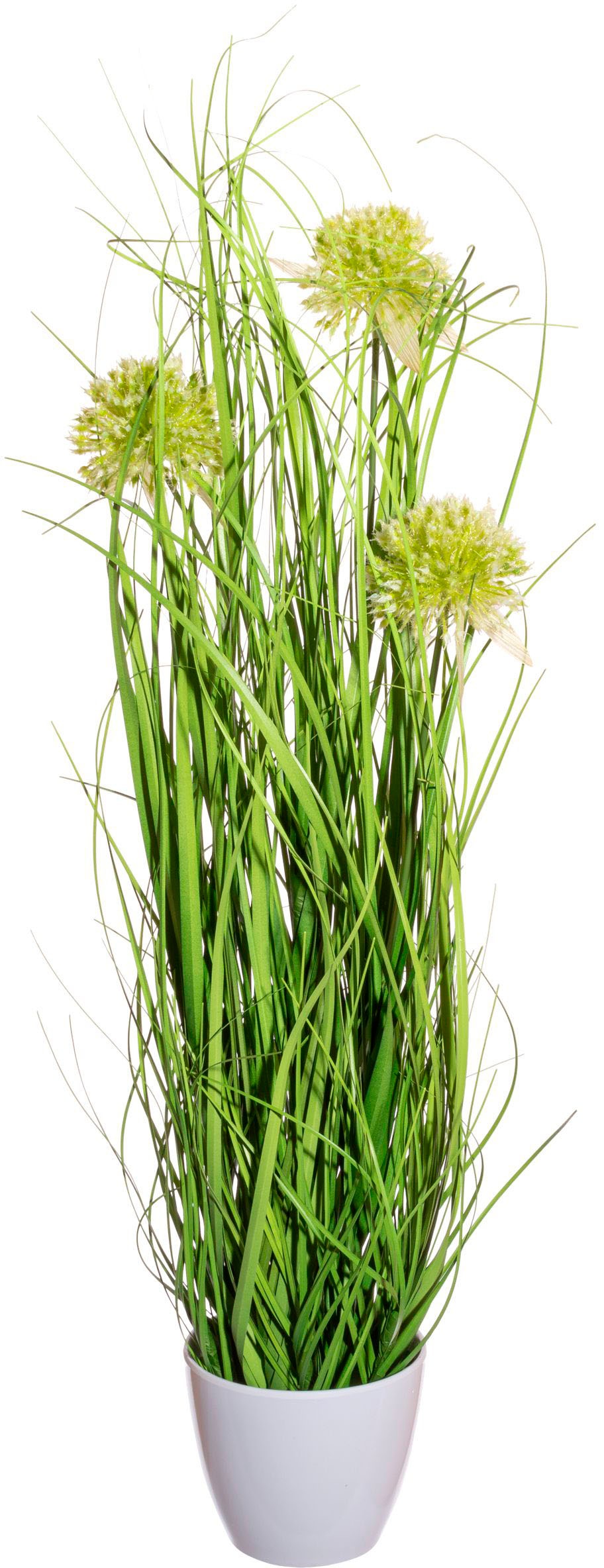 Creativ green Kunstgras »Grasbusch«, Blüten Topf bei (1 St.), mit im bestellen OTTO