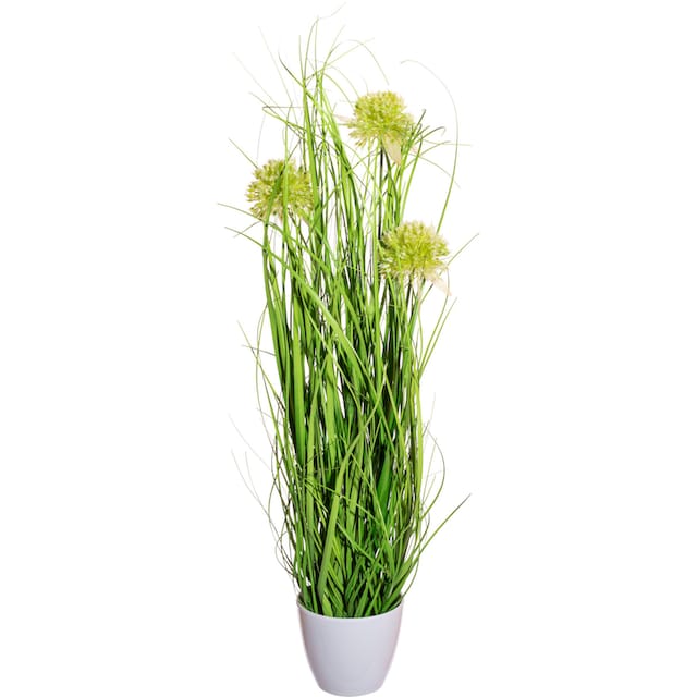 St.), »Grasbusch«, bestellen mit Blüten Creativ OTTO Kunstgras (1 im bei green Topf