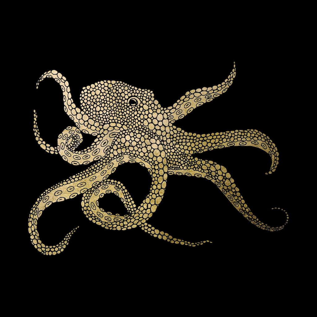 Leonique Acrylglasbild »Oktopus«