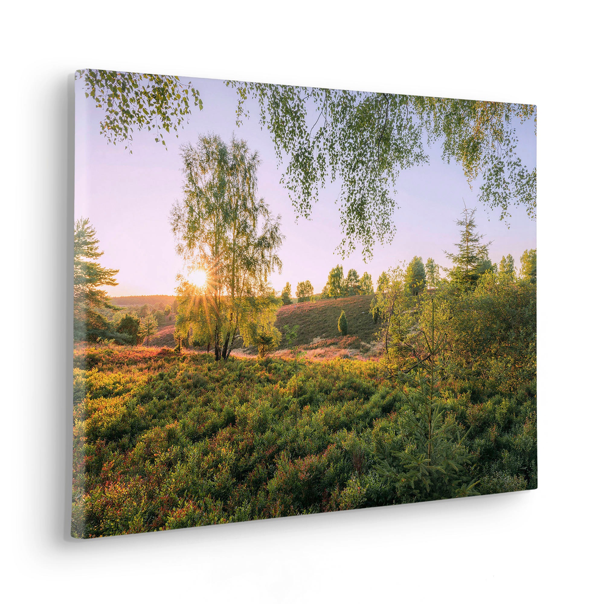 Komar Leinwandbild »Sommerabend - Größe 60 x 40 cm«, Baum-Blätter-Natur-Berge-Blumen-Foto-Jahreszeiten-Landschaft-Meer-Strand-Palmen, (Packung, 1 St.), Keilrahmenbild mi Echtholzrahmen
