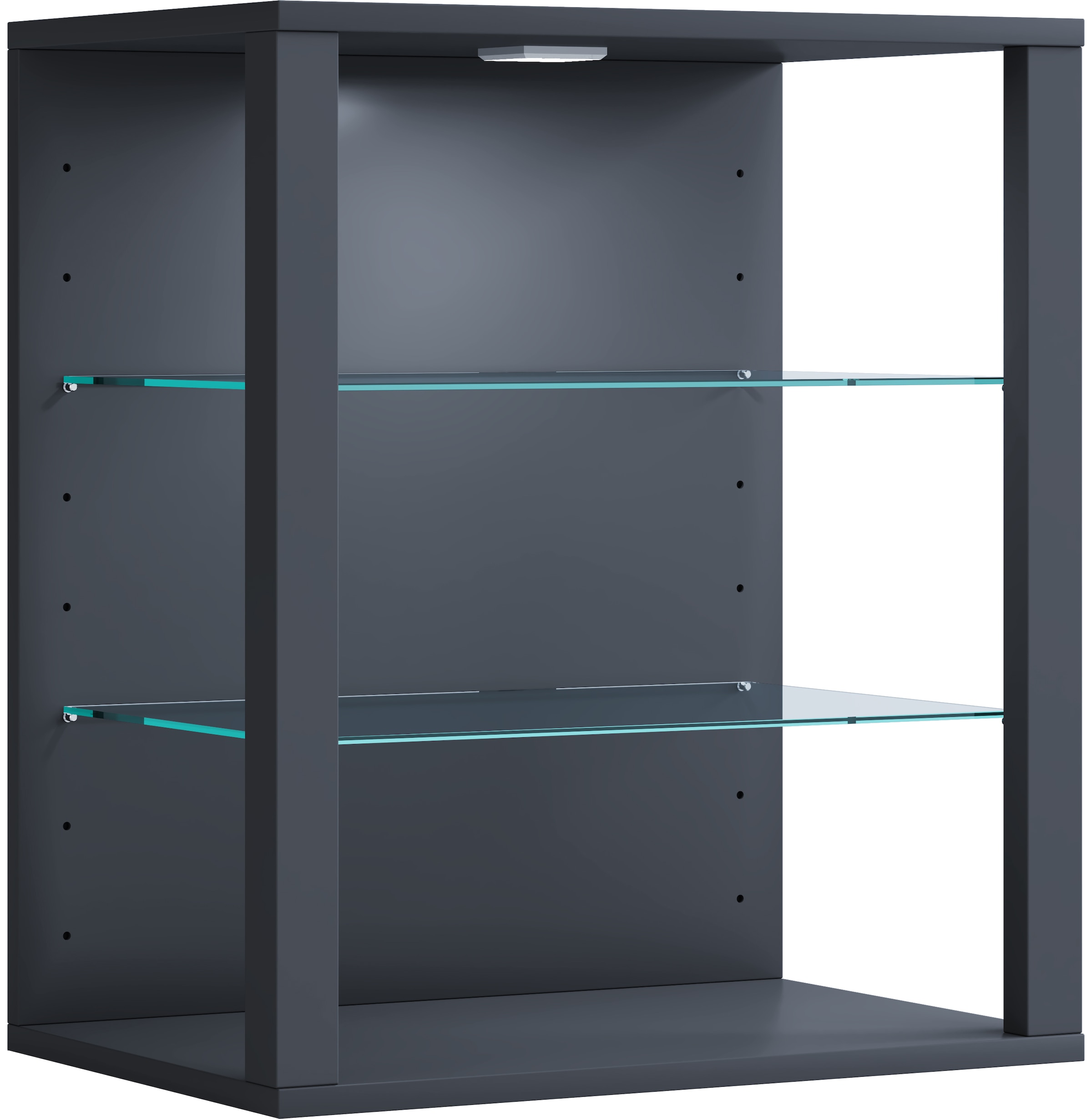 VCM Wandregal »Holz Glas Stand Vitrine Sammelvitrine Glasol SW«