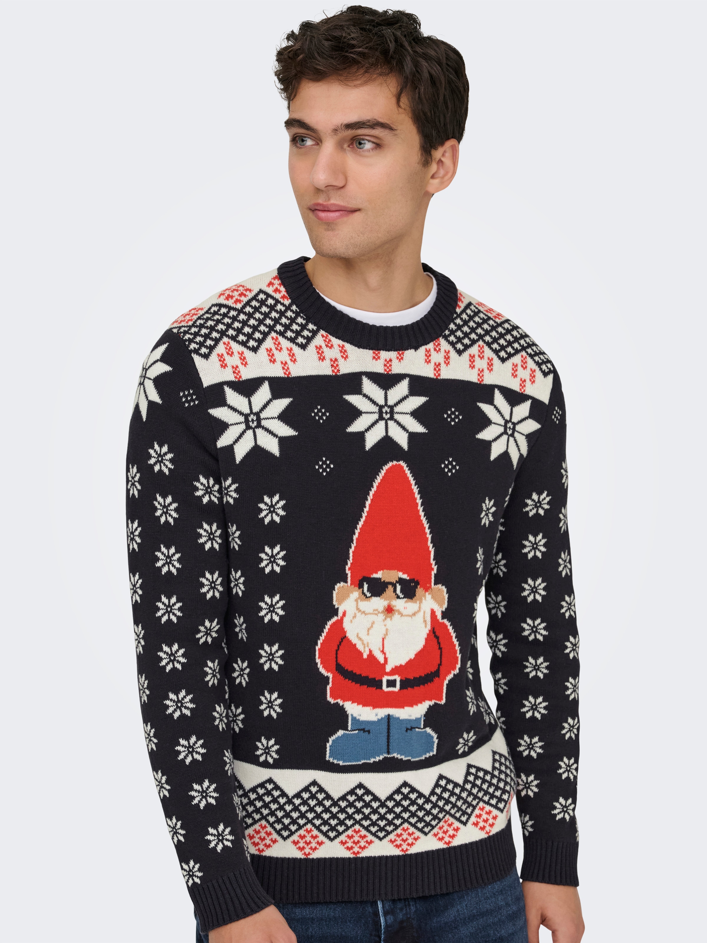 ONLY & SONS Rundhalspullover »ONSX-MAX REG CREW KNIT«