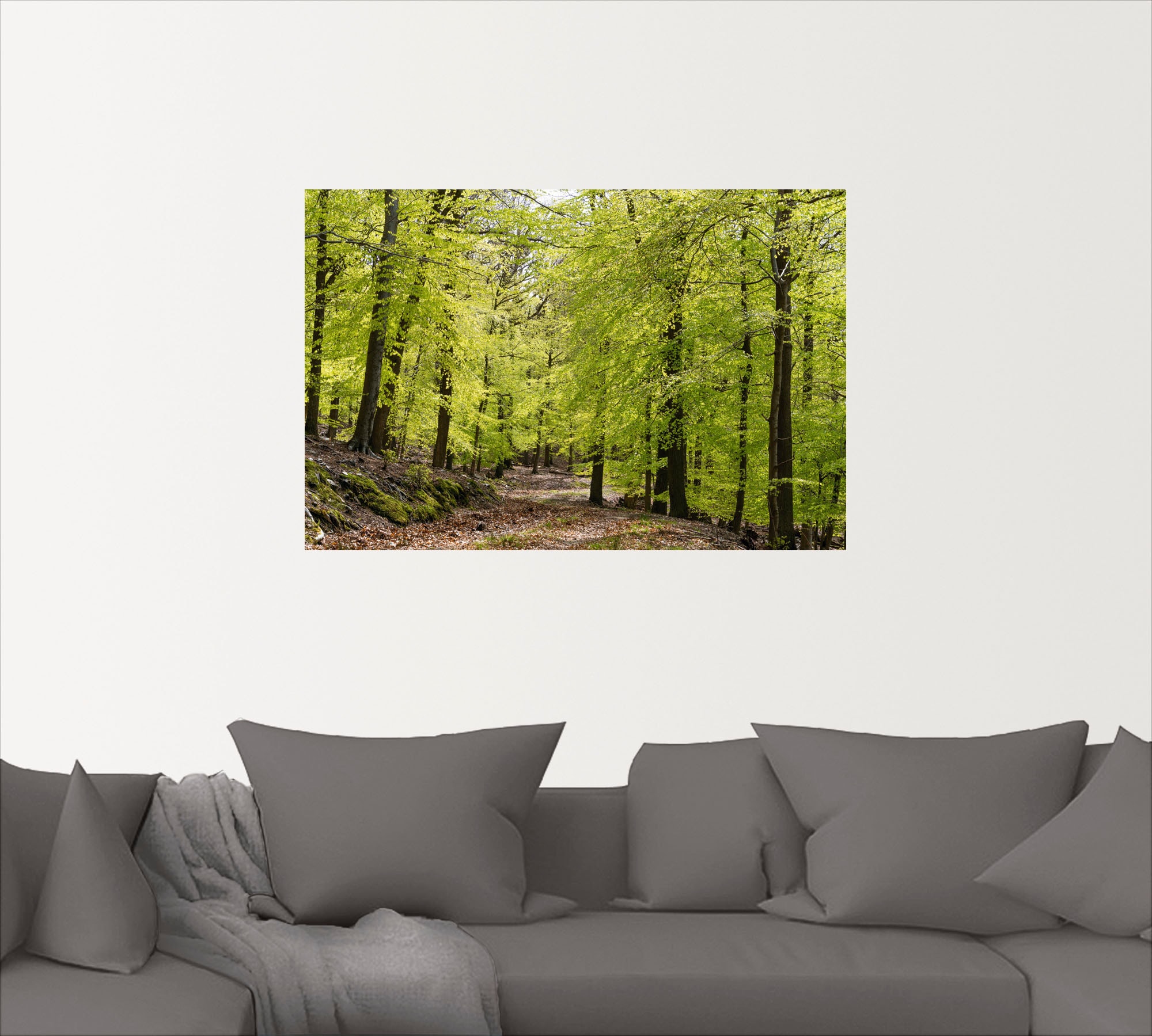 Artland Wandbild »Die Buchen im Frühling«, Wald, (1 St.), als Alubild, Outdoorbild, Leinwandbild, Poster, Wandaufkleber