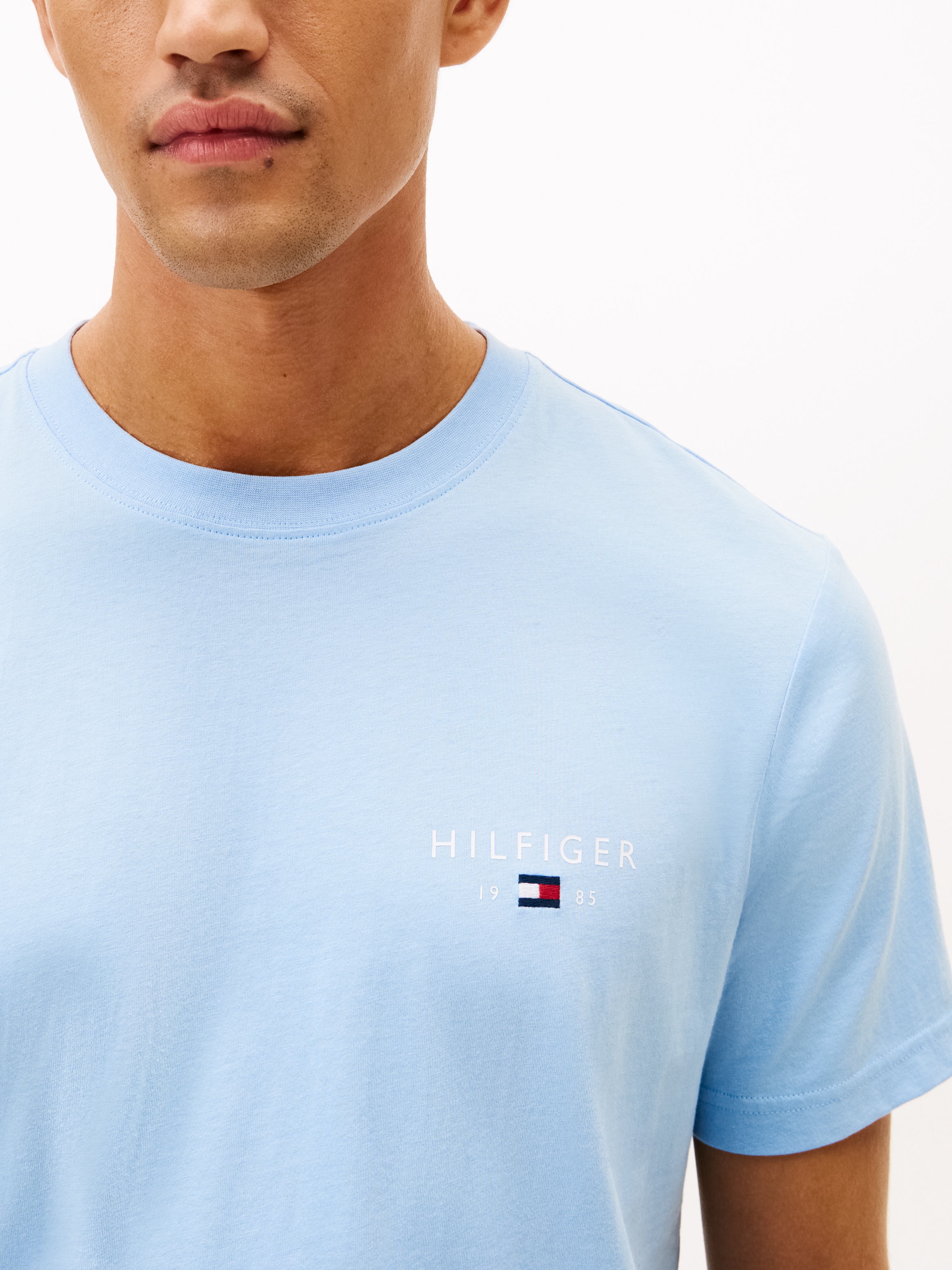 Tommy Hilfiger T-Shirt »BRAND LOVE SMALL HILFIGER« normale Passform, Rundhals, aus Jersey
