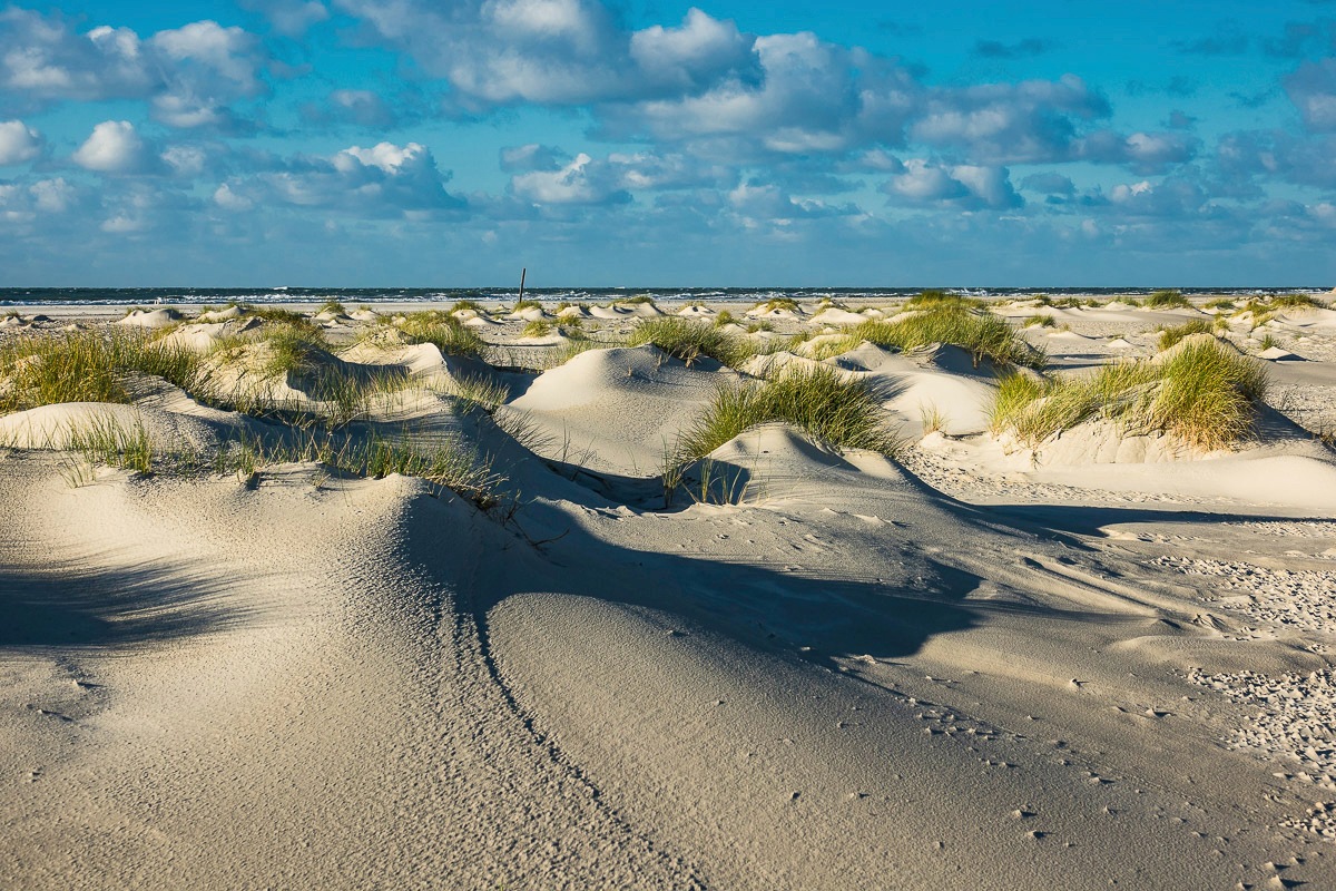 Papermoon Fototapete »DÜNEN-NATUR NORD SEE SAND STRAND MEER WÜSTE LANDSCHAFT«