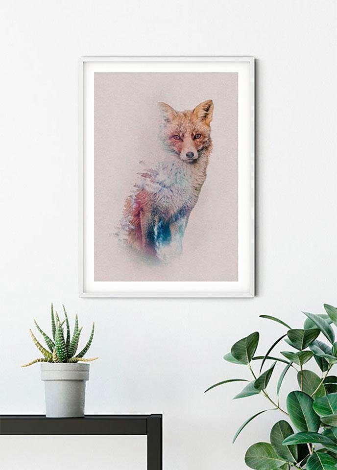 Komar Bild »Animals Forest Fox«, Tiere, (1 St.), Wandbild zur Dekoration - ohne Rahmen