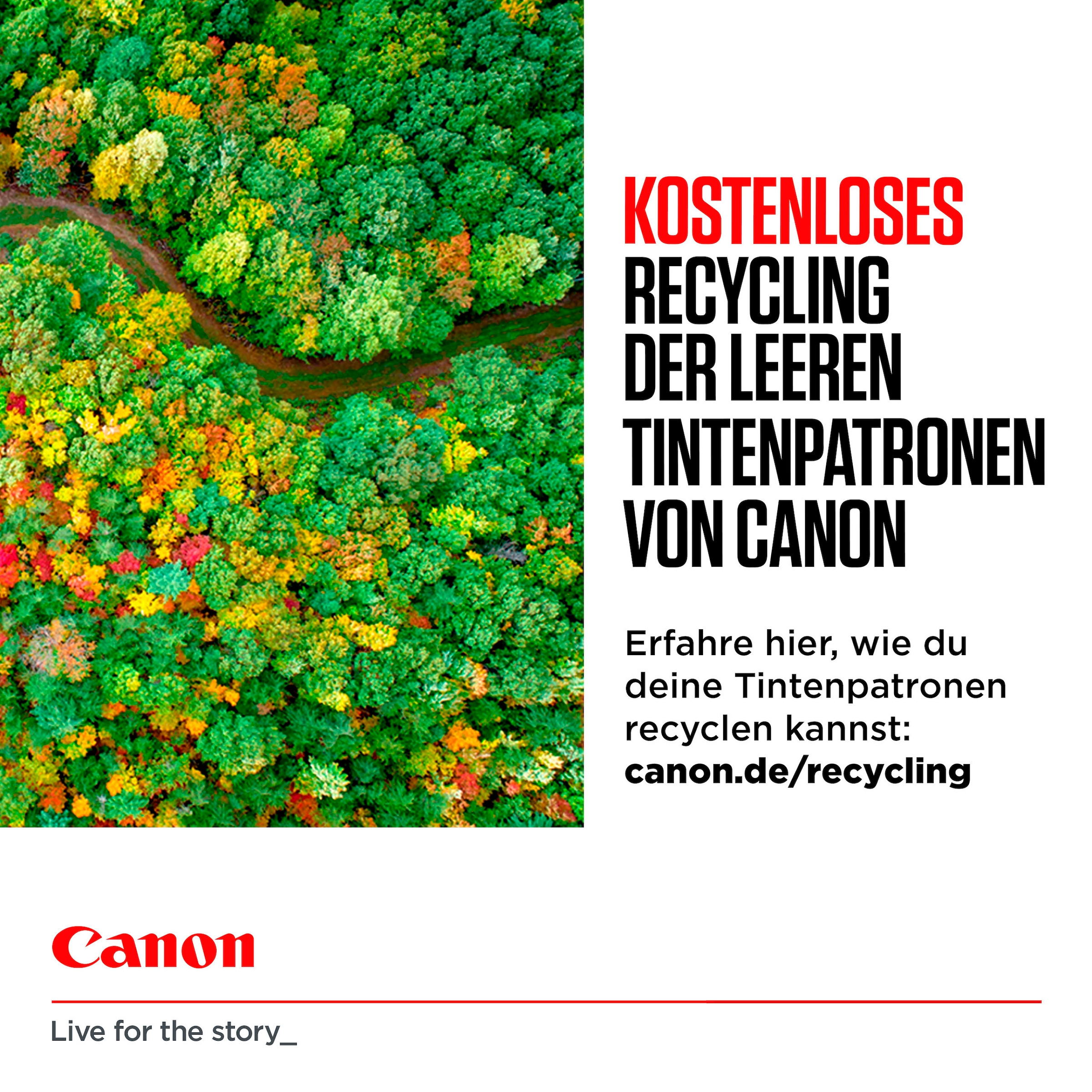 Canon Tintenpatrone »PG-575XL/CL-576XL Tintenpatrone + Fotopapier-Vorteilspaket«