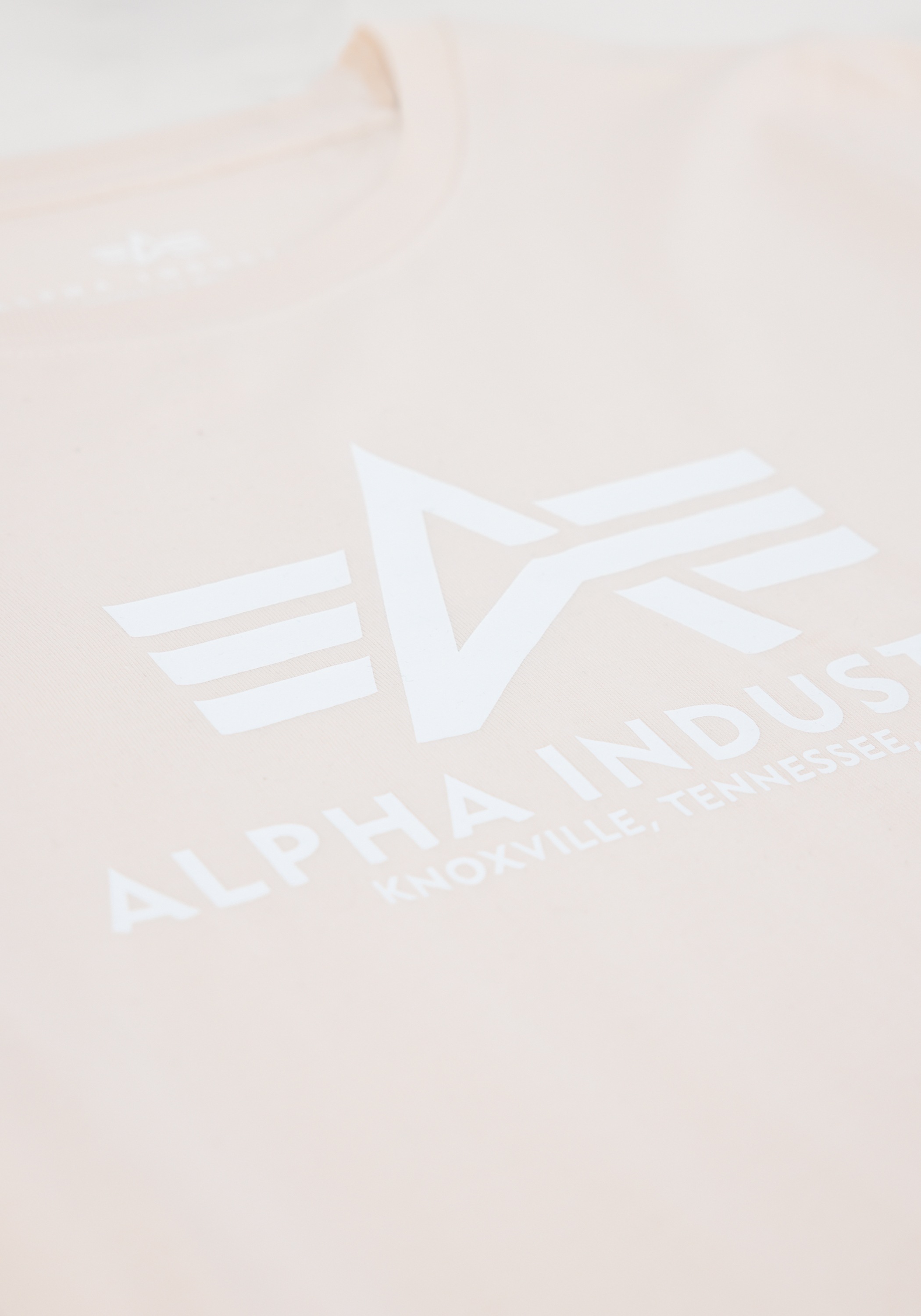 Alpha Industries T-Shirt »Basic T-Shirt BL K«