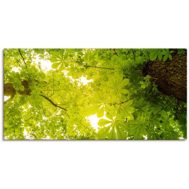 Artland Wandbild »Blick nach Oben im Wald, grüne Bäume«, Blätterbilder, (1  St.), als Alubild, Leinwandbild, Wandaufkleber oder Poster in versch. Größen  im OTTO Online Shop