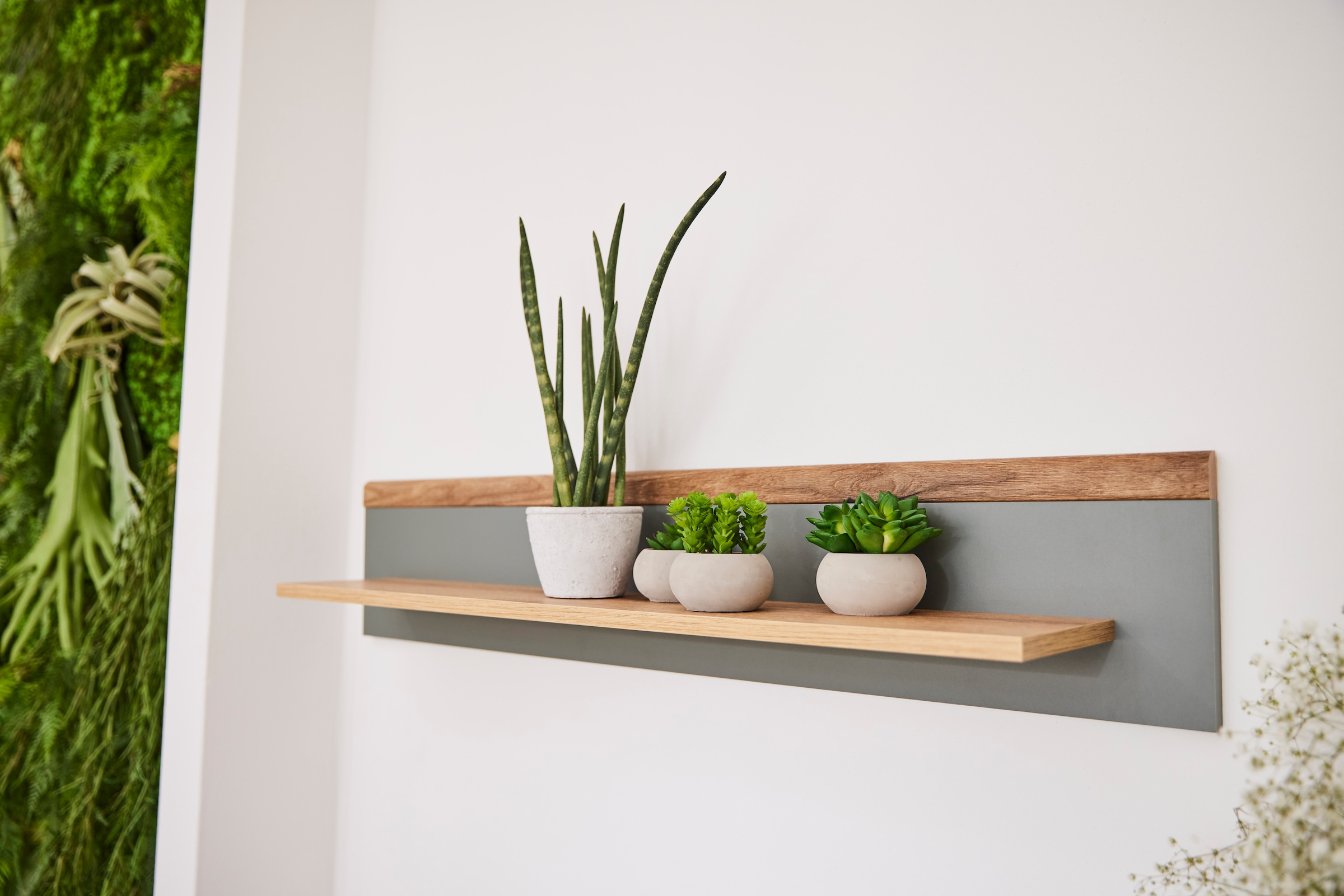 INOSIGN Wandboard »MAVAS«, in moderner Trendfarbe, Breite 107 cm