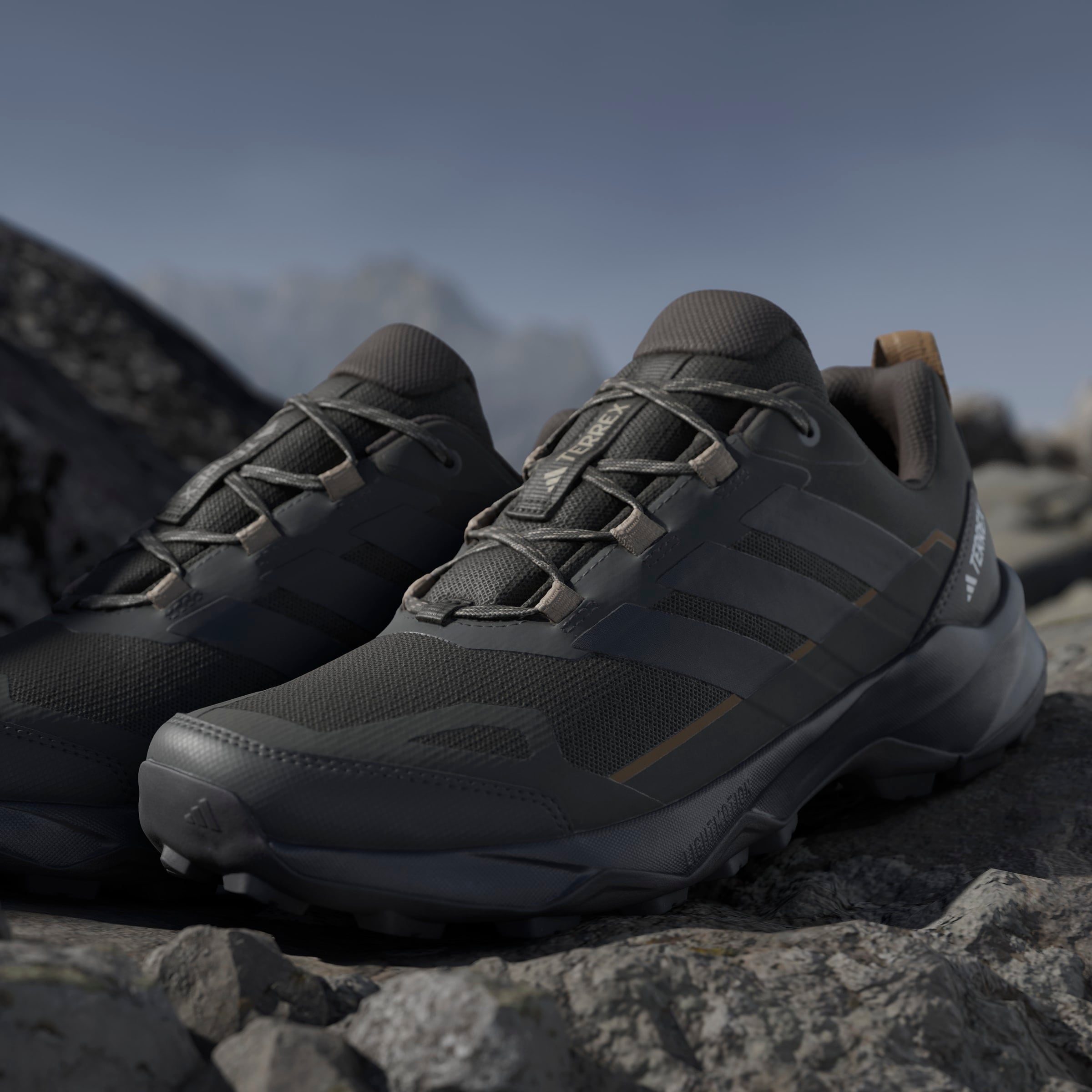 adidas TERREX Wanderschuh »TERREX SKYCHASER AX5«