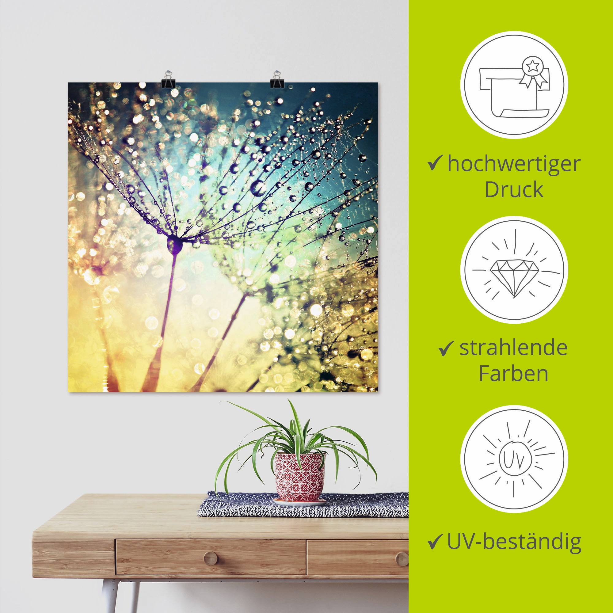 Artland Wandbild »Pusteblume Zaubertropfen« Blumen 1 Stk. tlg. als Alubild, Leinwandbild, Poster in verschied. Größen