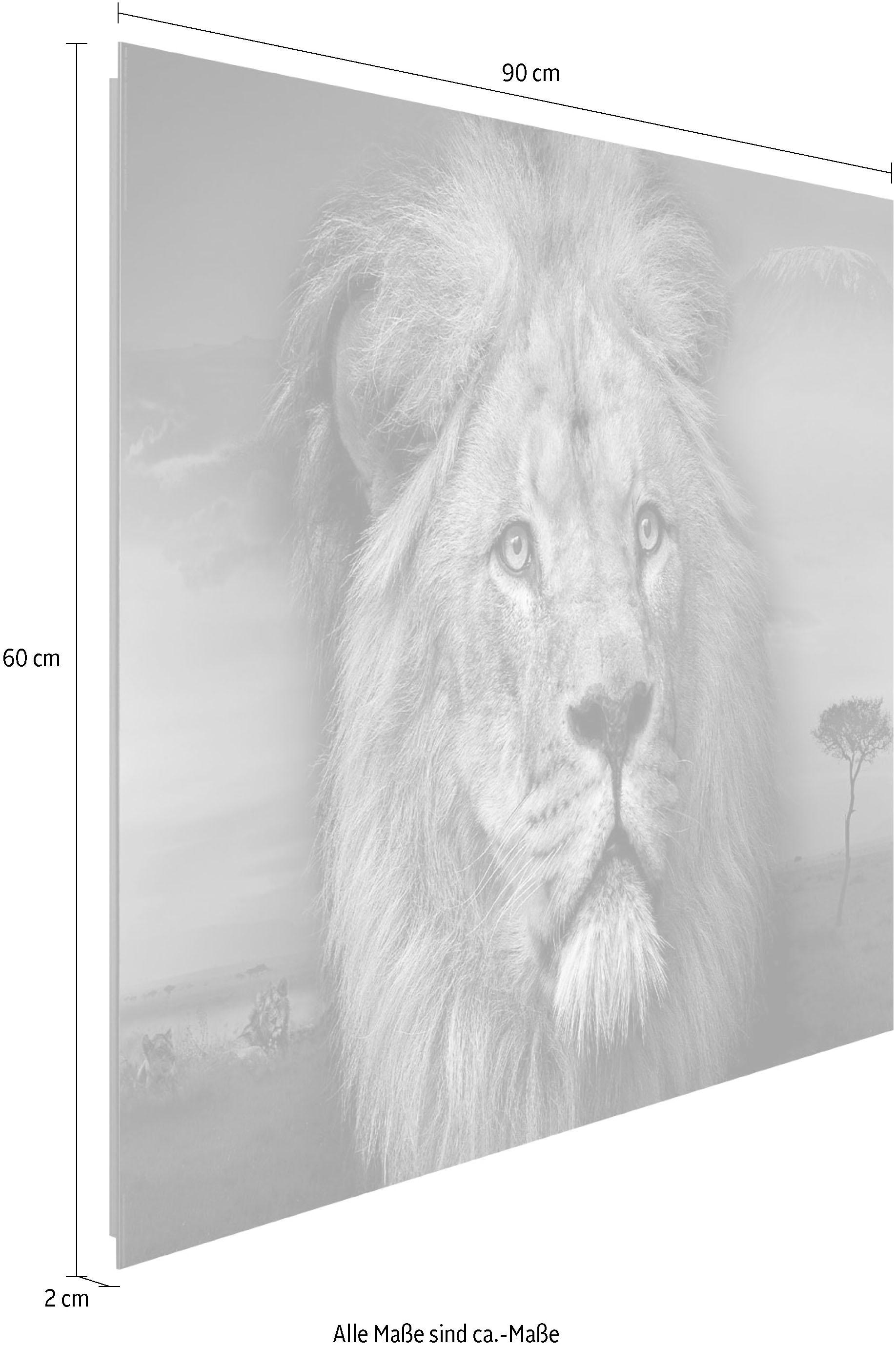 Reinders! Deco-Panel »Löwenkopf« im OTTO Online Shop