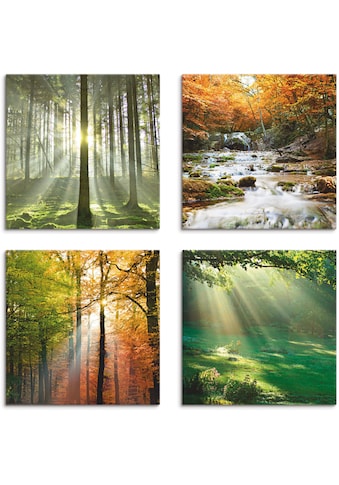 Artland Leinwandbild »Wald Wasserfall Herbsttag«, Wald, (4 St.), 4er Set, verschiedene... kaufen
