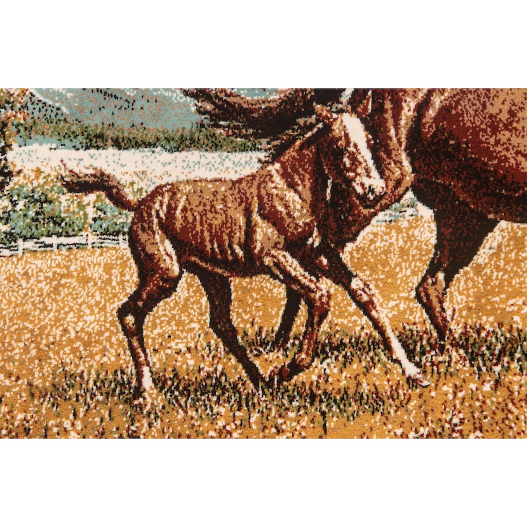 morgenland Wandteppich »Bild-Teppich Figurativ 85 x 60 cm«, rechteckig