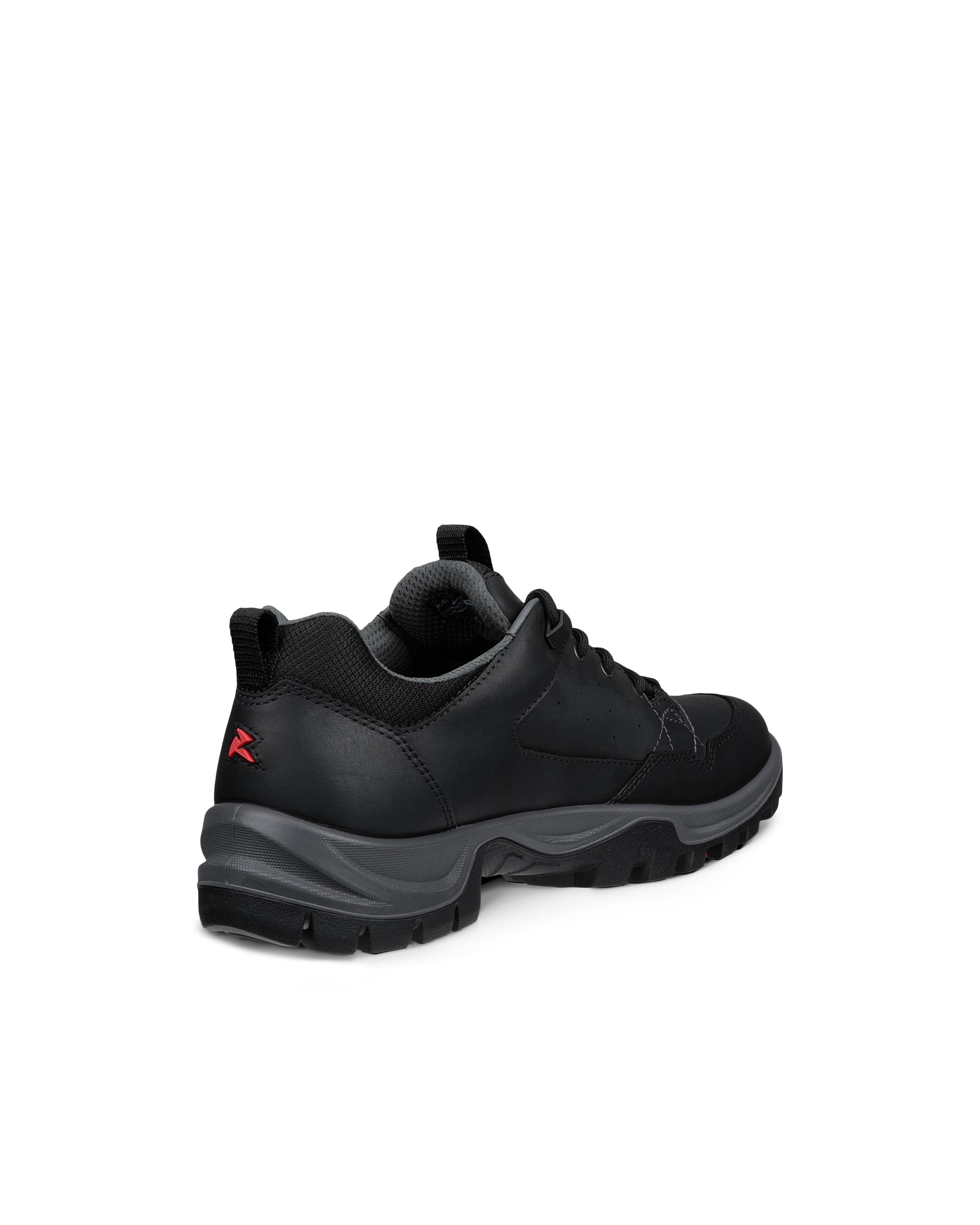 Ecco Outdoorschuh »ECCO RECEPTOR TREKK«  Wanderschuh, Halbschuh, Schnürschuh mit waterproof