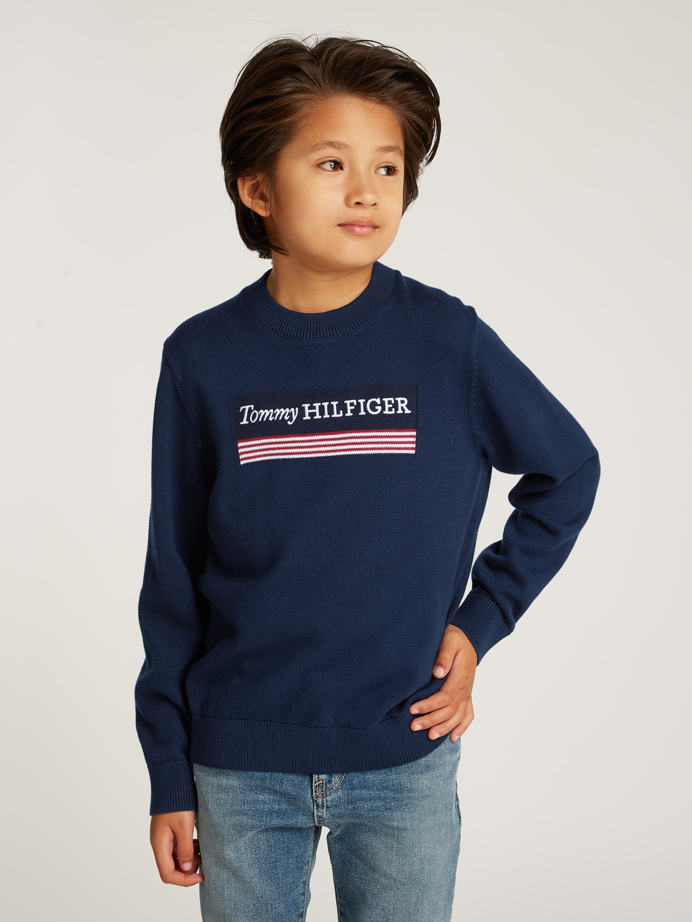 TOMMY HILFIGER Strickpullover »MONOTYPE 1985 REG SWEATER«, mit Logoschriftzug