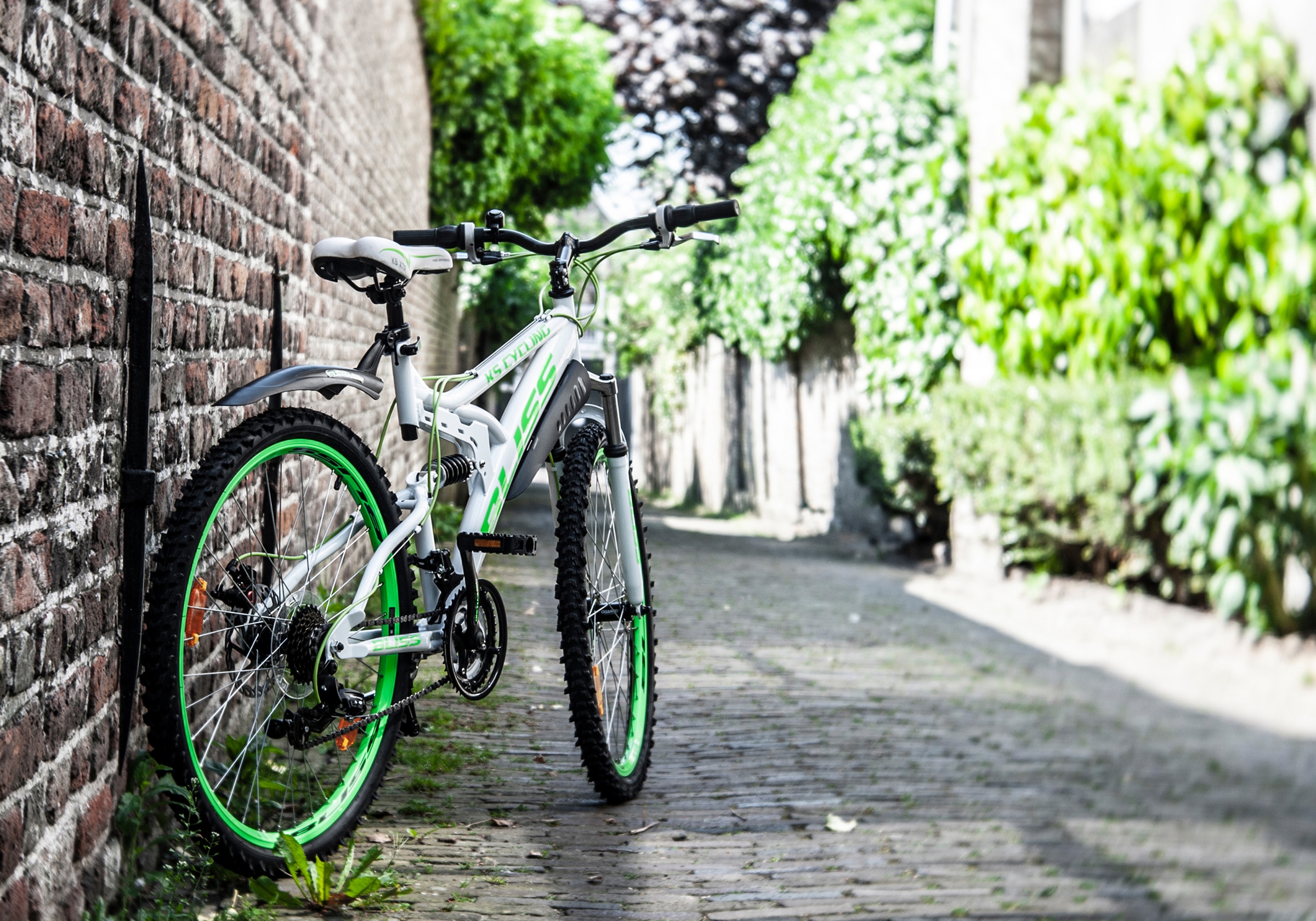 KS Cycling Mountainbike »Bliss«, 21 Gang, Shimano, Tourney Schaltwerk, Kettenschaltung, für Damen und Herren, Kettenschaltung