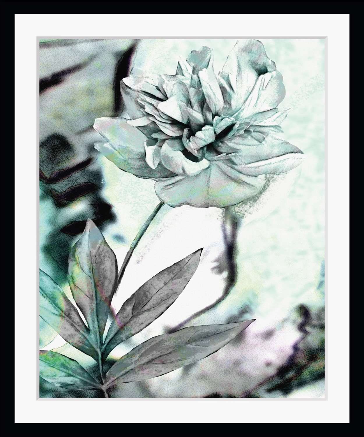 queence Bild »Christa« Blumen | Foto | Pflanzen | Pflanzenbilder Rose, gerahmt