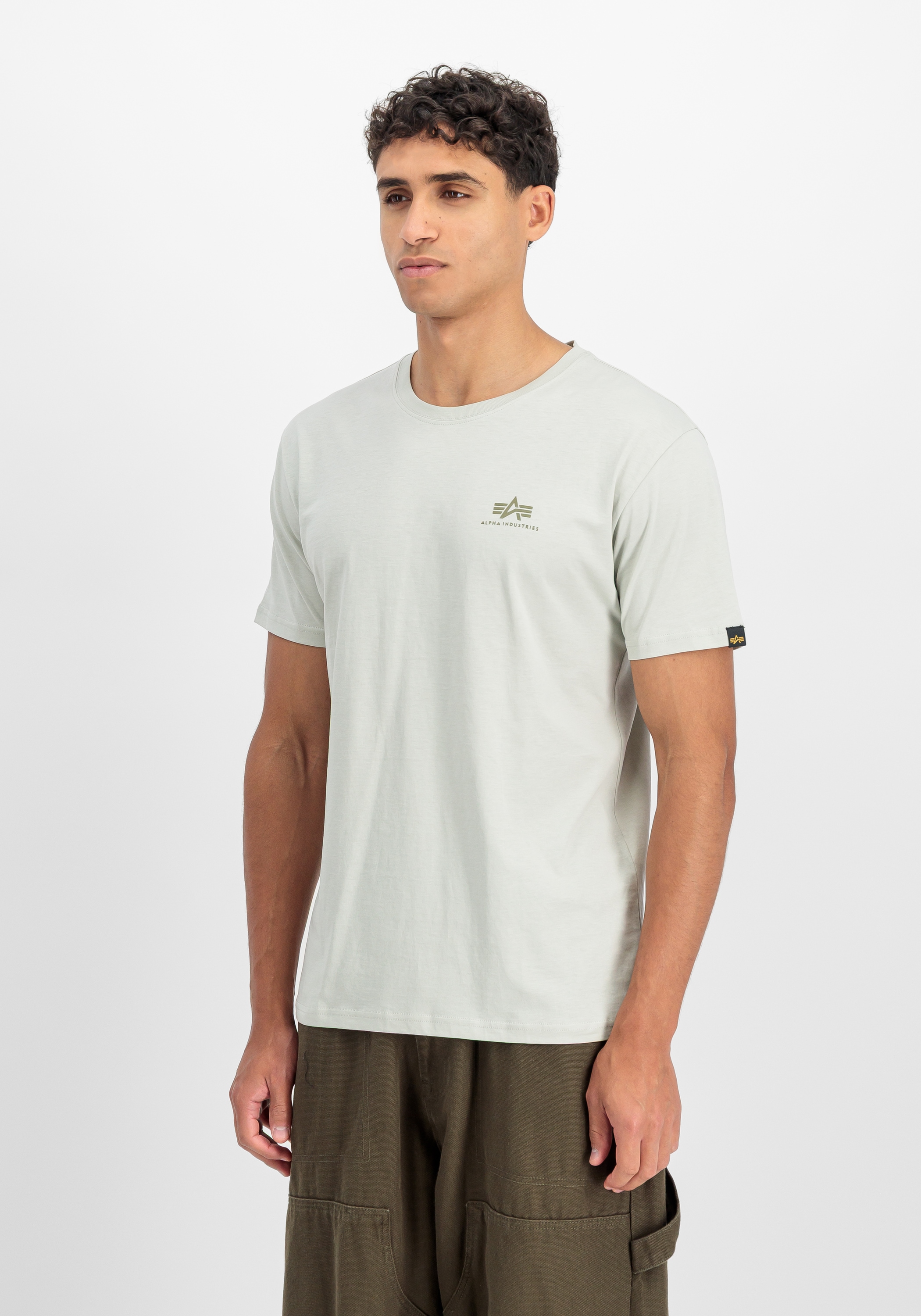 Alpha Industries T-Shirt »Backprint T-Shirt Camo Print«