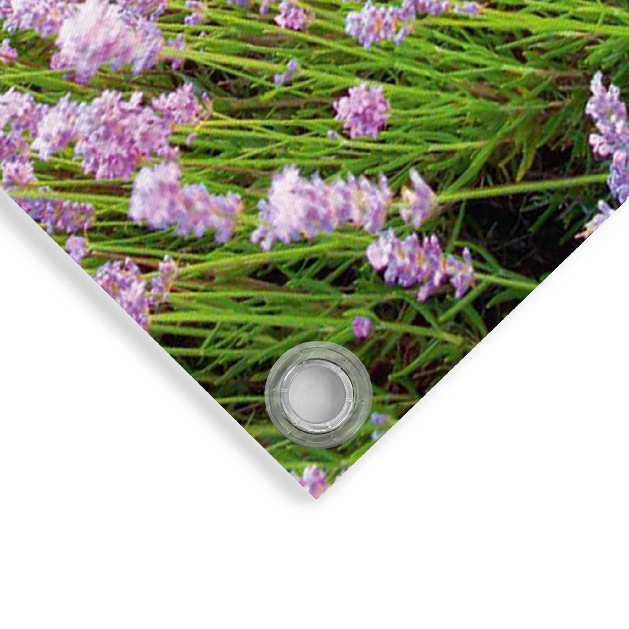 Reinders! Poster »Lavender Field«