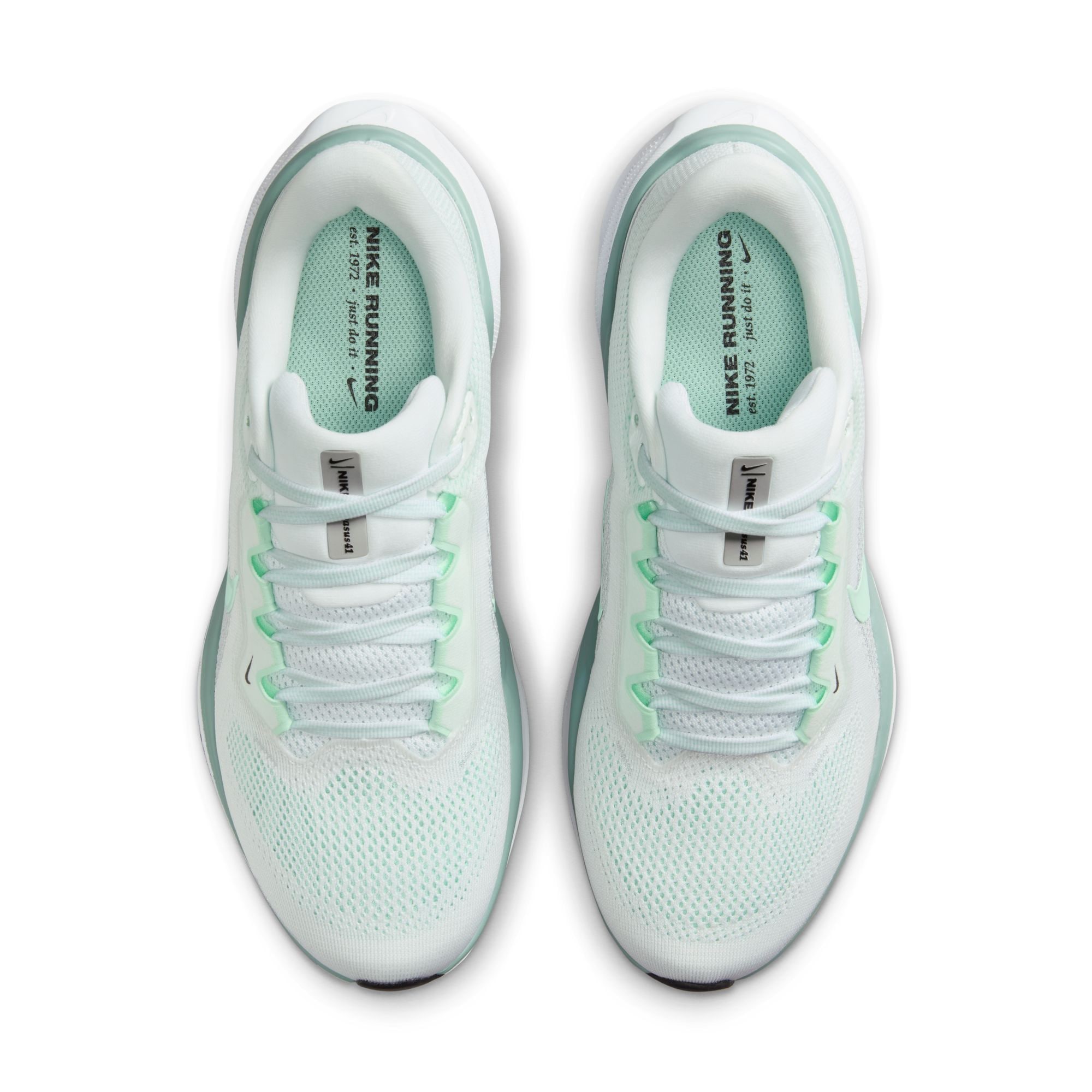 Nike Laufschuh »W AIR ZOOM PEGASUS 41«