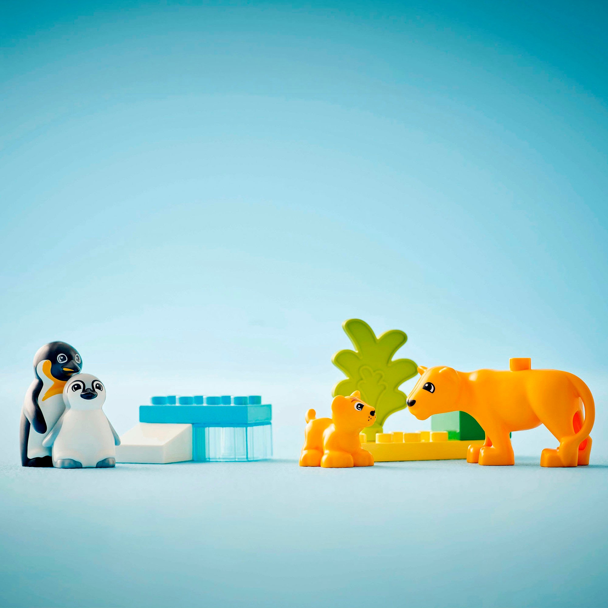 LEGO® Konstruktionsspielsteine »Wildtier-Familien: Pinguine und Löwen (10442), LEGO DUPLO Town«, (10 St.), Made in Europe