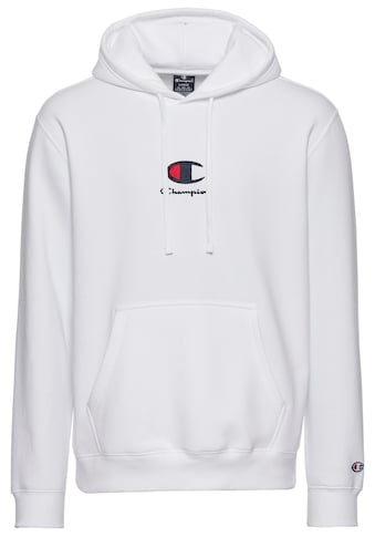 Kapuzensweatshirt »Icons Hooded Sweatshirt Central Log«