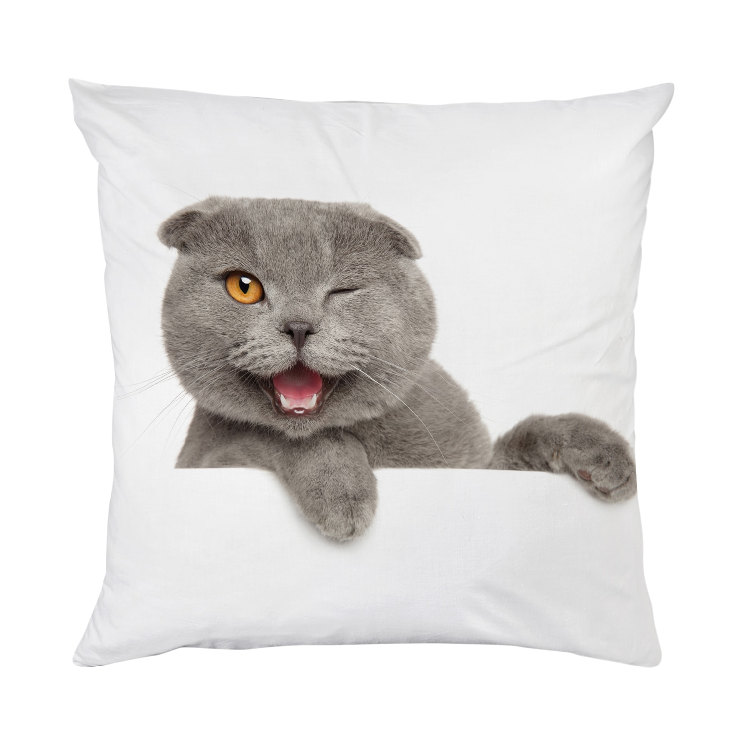 queence Dekokissen »Britisch Kurzhaar«, Kissenhülle mit HD Premium Druck, geruchsneutral, 40x40cm