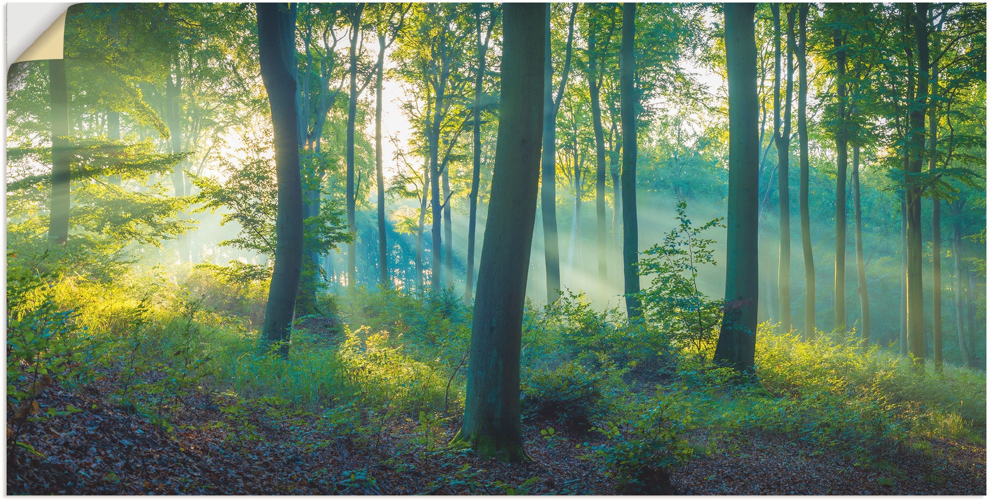 Artland Wandbild »Wald Panorama«, Waldbilder, (1 St.), als Alubild, Outdoorbild, Leinwandbild, Poster, Wandaufkleber