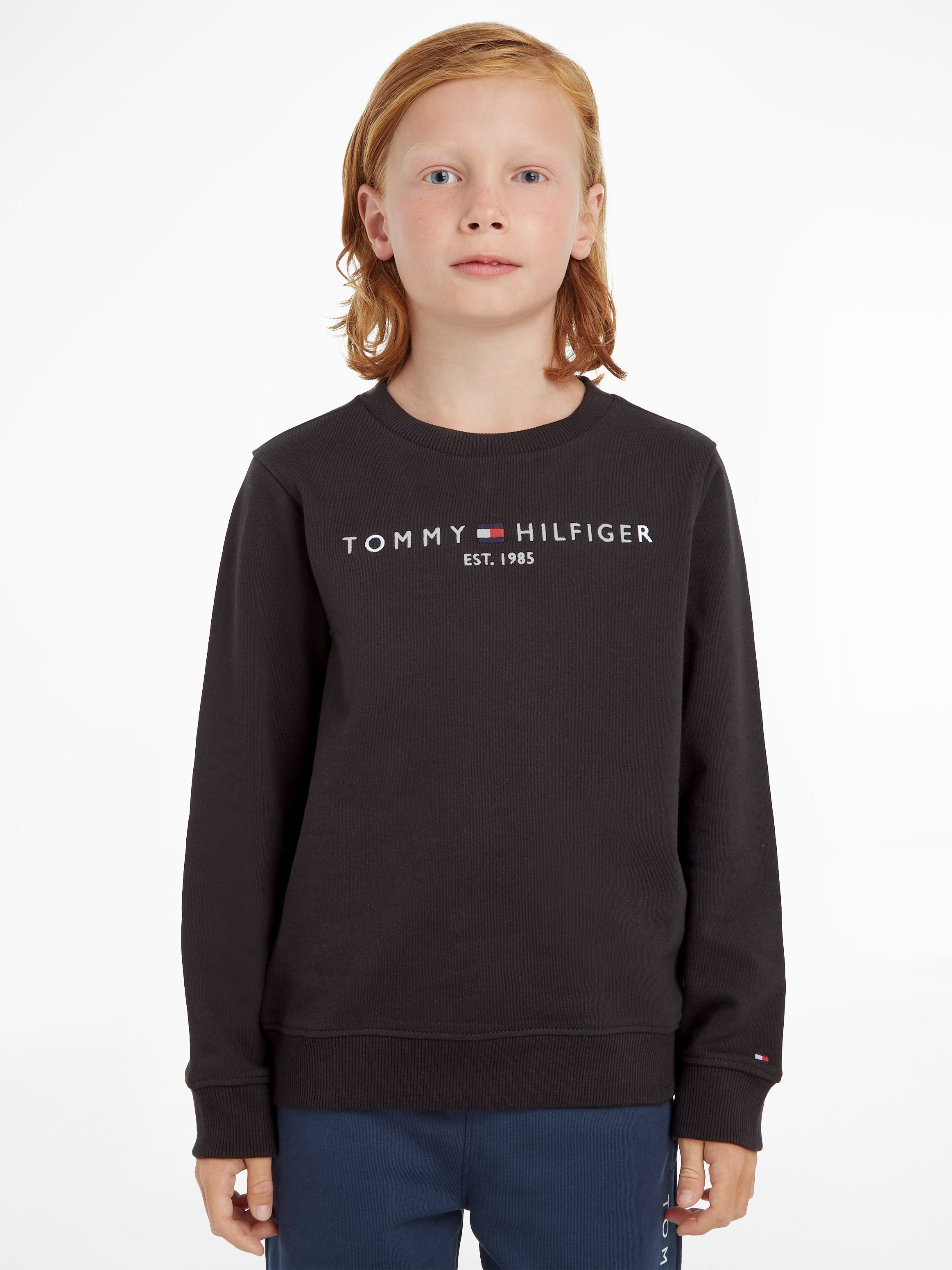 Tommy Hilfiger im Shop Sweatshirt Online OTTO