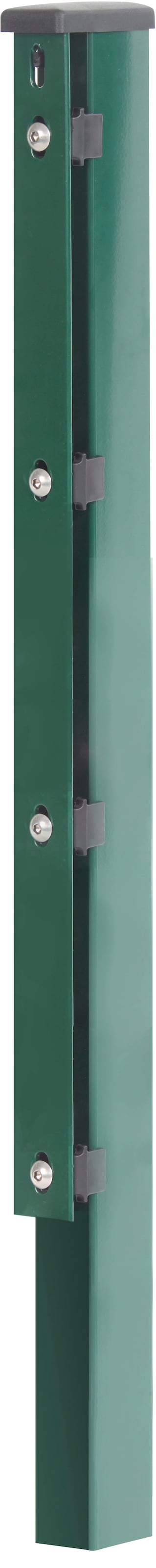 Alberts Zaunpfosten 60x40 mm für Doppelstabmattenzaun, 240 cm, mit Flacheisen
