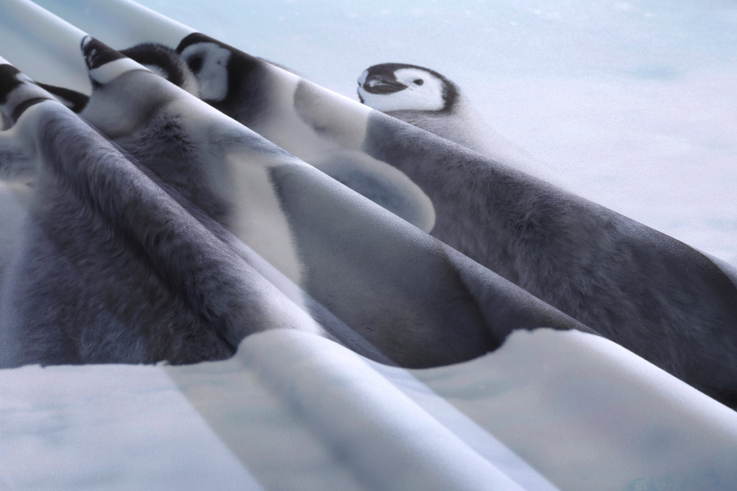 OTTO home Bettwäsche »Lyki«, ab Größe 135x200 cm, 100% Polyester, Katze, Pferd, Löwe, Pinguin