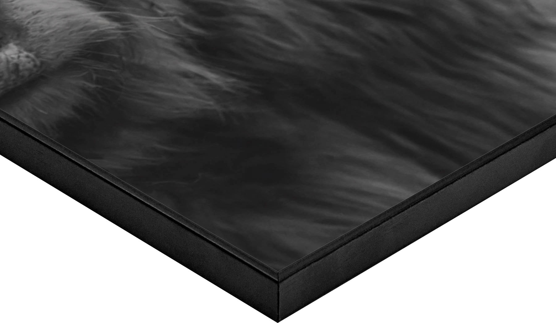 Reinders! Wandbild »Slim Frame Black 50x70 Highlander« im OTTO Online Shop