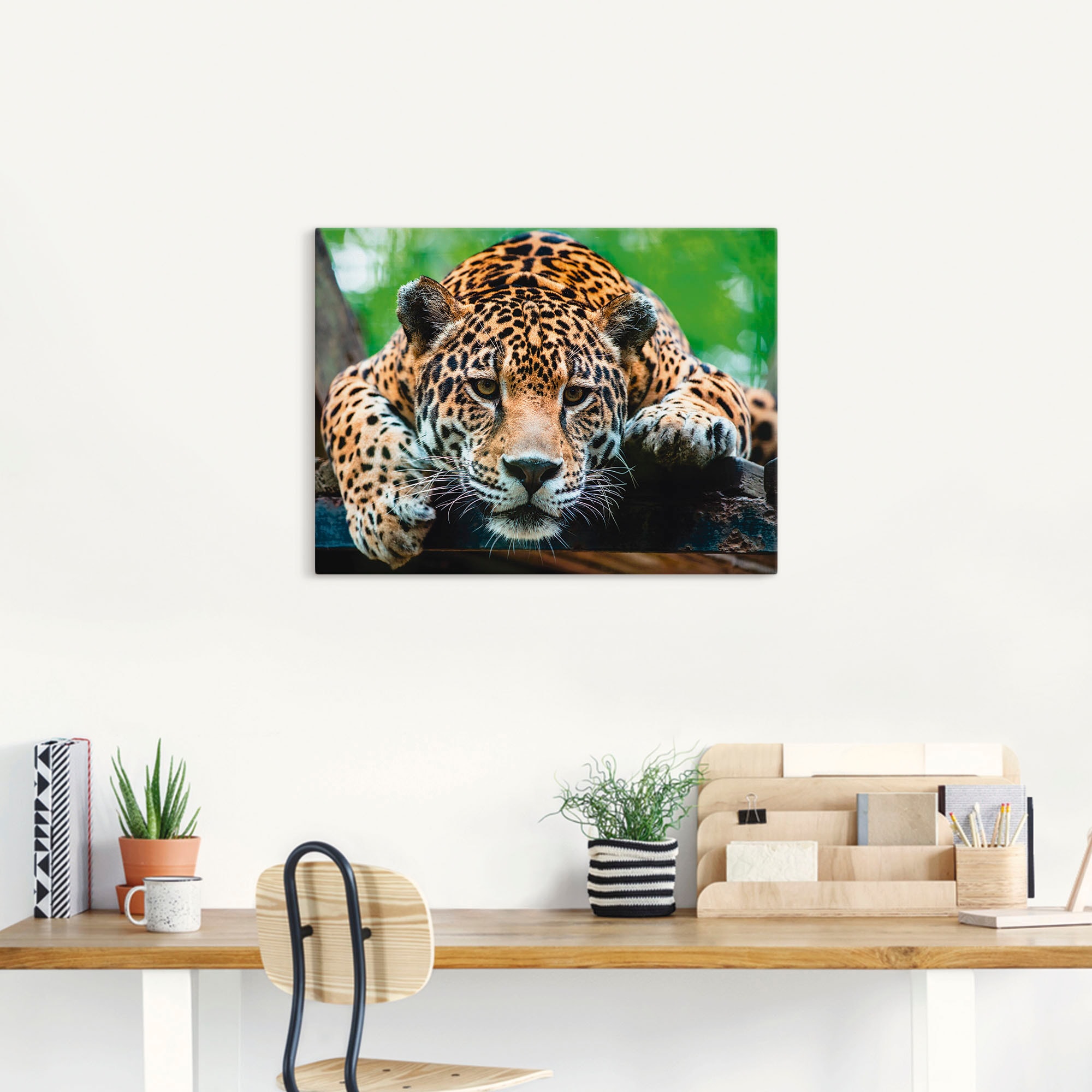 Artland Wandbild »Südamerikanischer Jaguar«, Wildtiere, (1 St.), als Alubild, Outdoorbild, Leinwandbild, Poster, Wandaufkleber