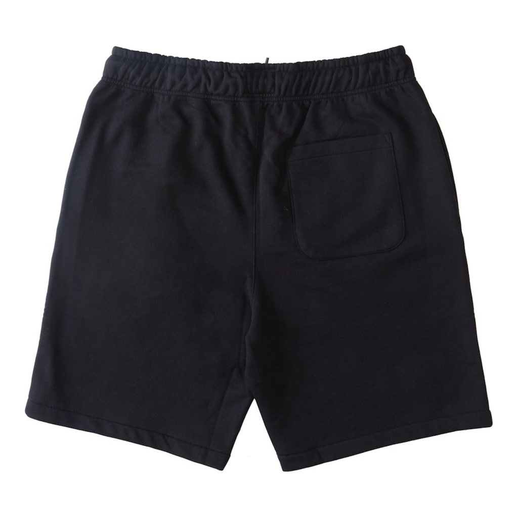 DC Shoes Trainingsshorts »Riot«