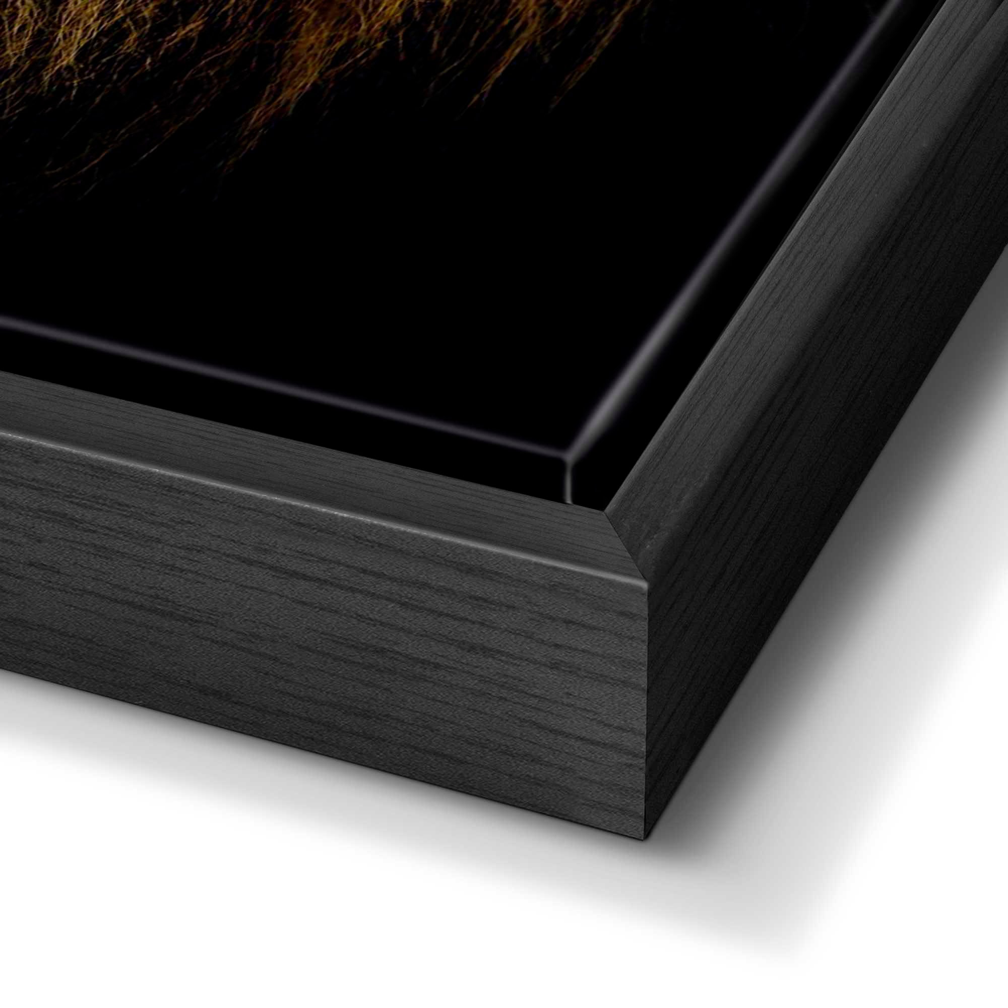 Reinders! Bild »Löwe«