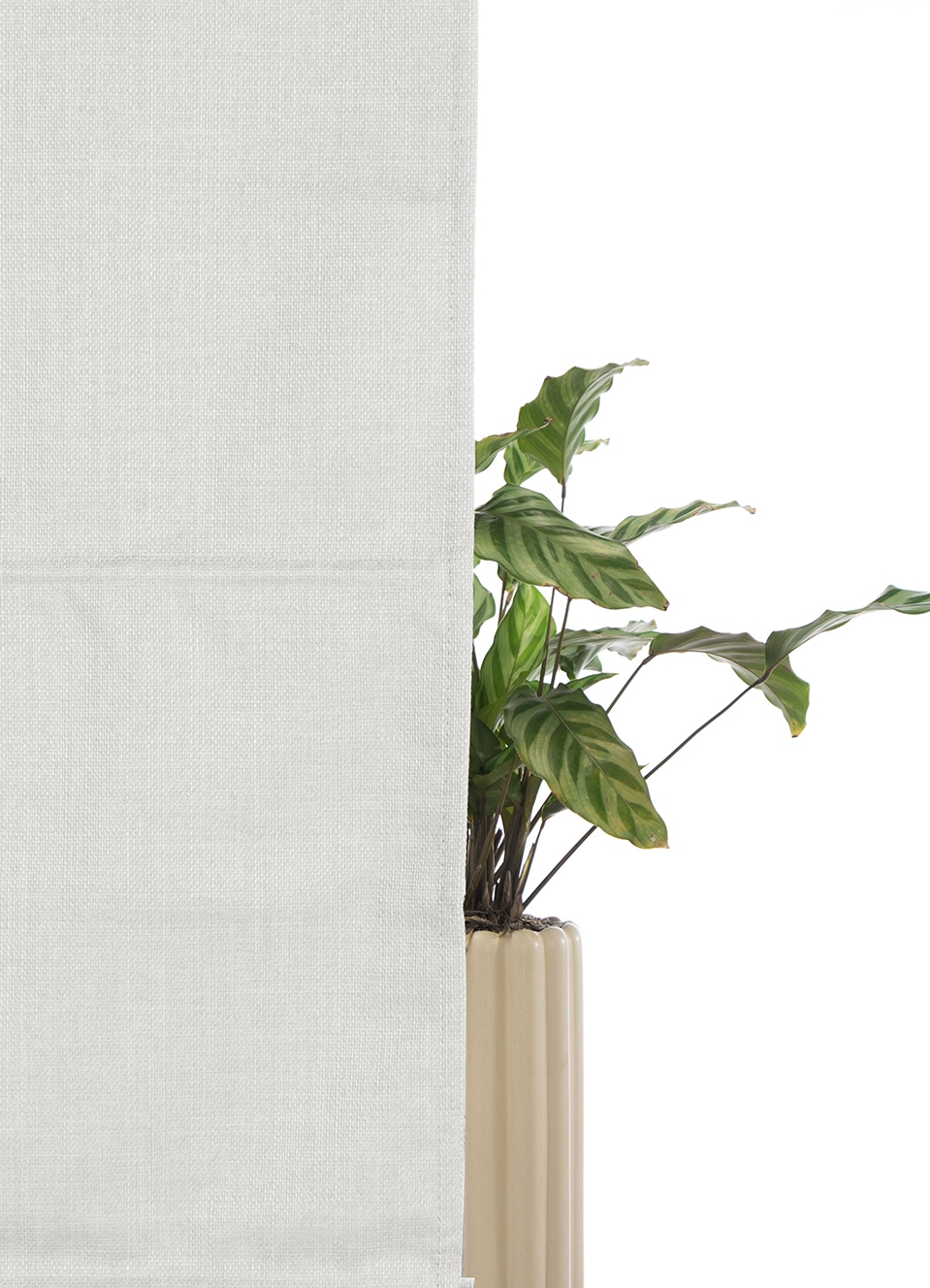 my home Rollo »RIOLA« verdunkelnd Blendschutz | Sichtschutz | Verdunkelung ohne Bohren freihängend Faltrollo in trendiger Leinenoptik NEUHEIT!