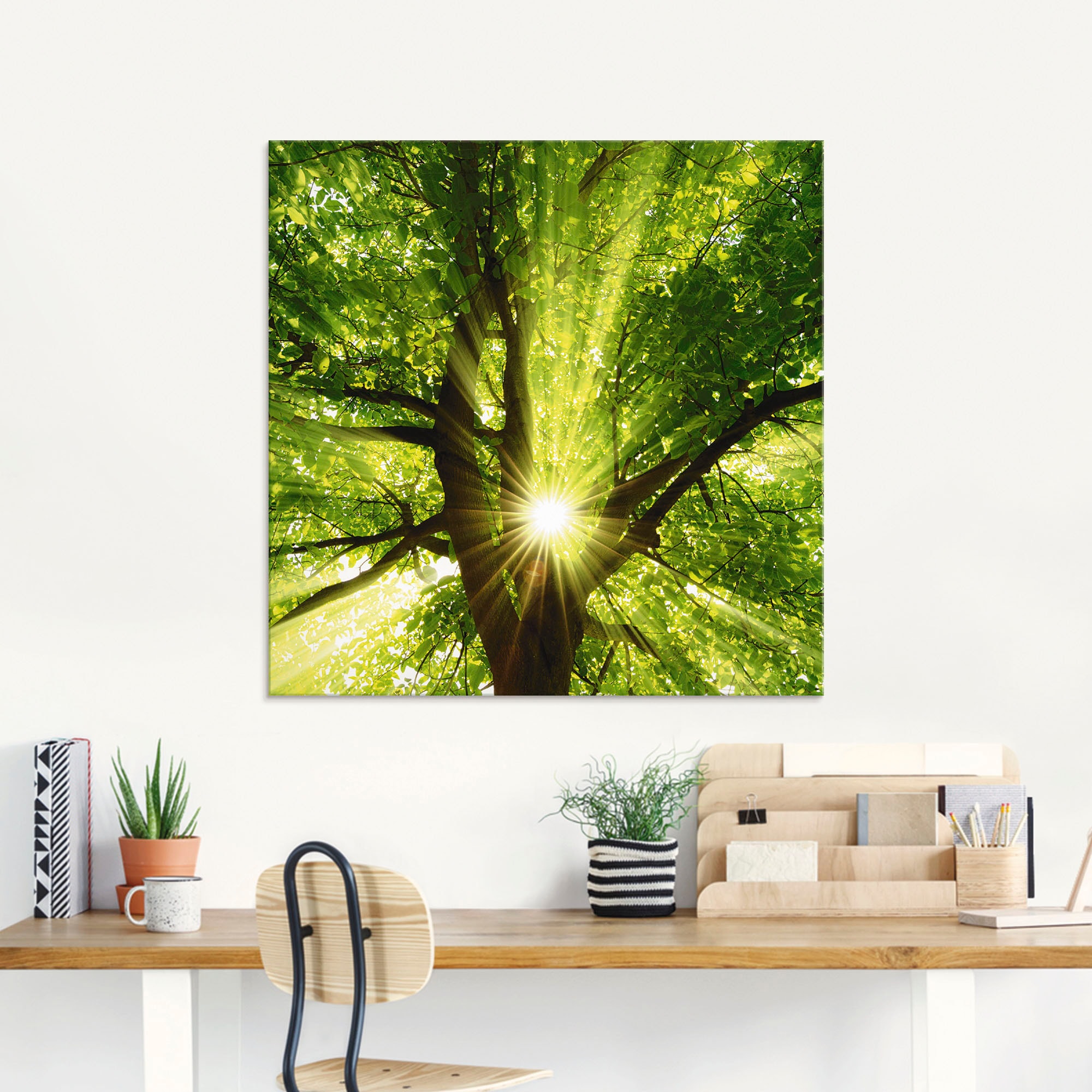Artland Glasbild »Sonne strahlt explosiv durch den Baum«, Bäume, (1 St.), in verschiedenen Größen