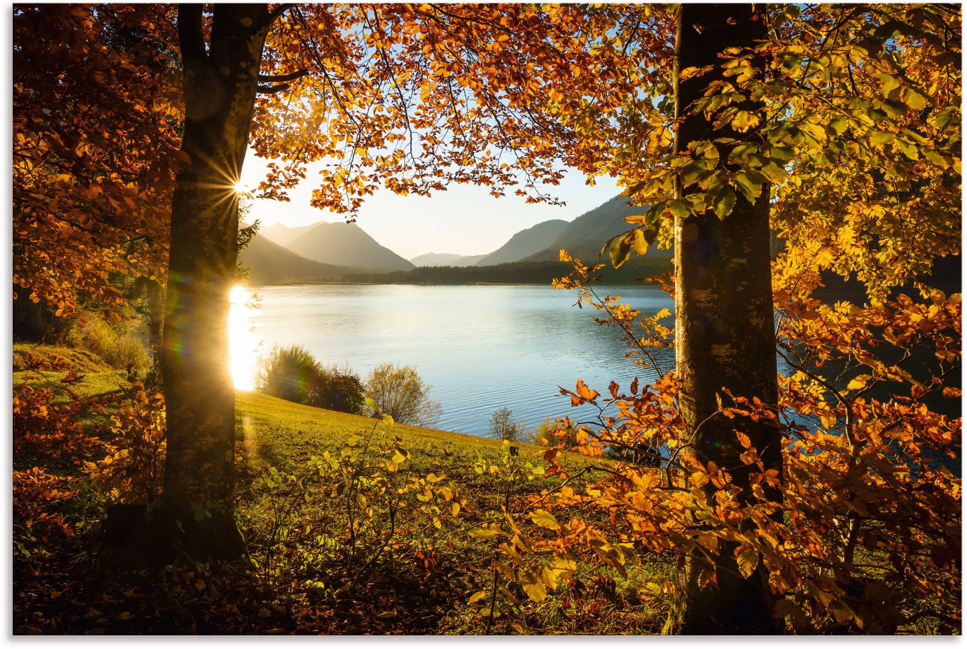 Artland Wandbild »Herbst am Leinwandbild, Shop (1 im Poster bestellen als Größen OTTO Sylvensteinsee«, oder St.), in Online Alubild, versch. Gewässer, Wandaufkleber