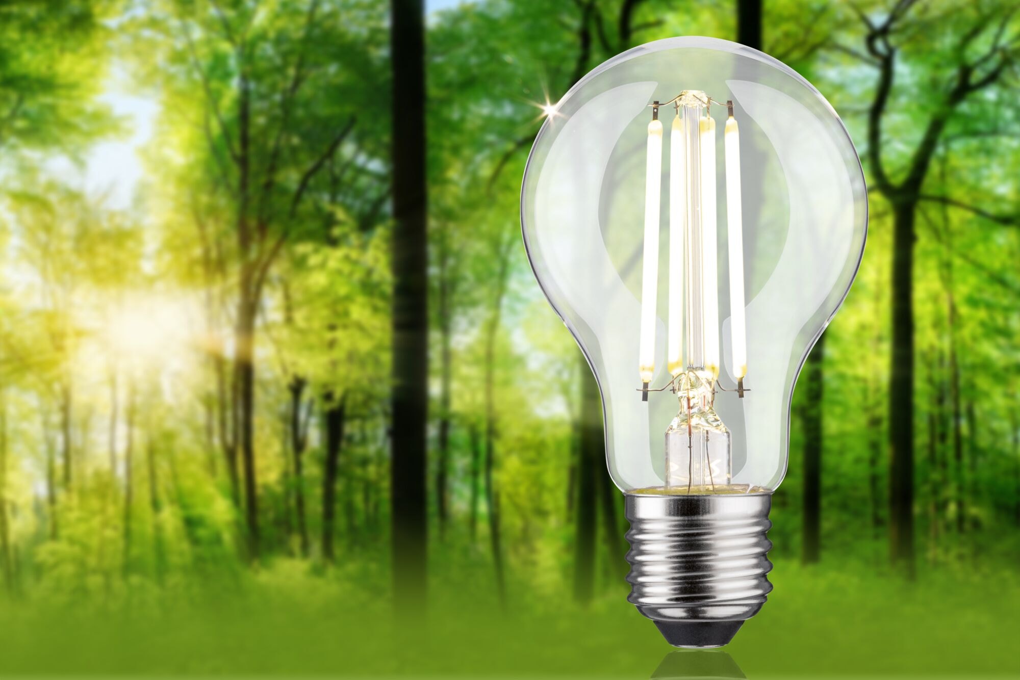 Paulmann LED-Leuchtmittel »Eco-Line Filament 230V LED Birne E27 806lm 4,3W 4000K dimmbar Klar« E27 1 Stk. Neutralweiß