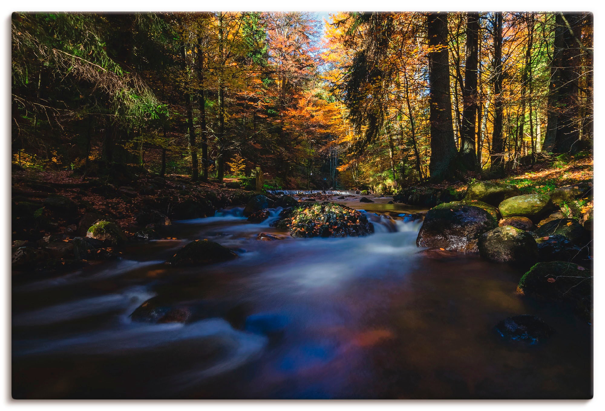 Artland Wandbild »Herbst im Harz«, Bäume, (1 St.), in vielen Größen & Produktarten - Alubild / Outdoorbild für den Außenbereich, Leinwandbild, Poster, Wandaufkleber / Wandtattoo auch für Badezimmer geeignet