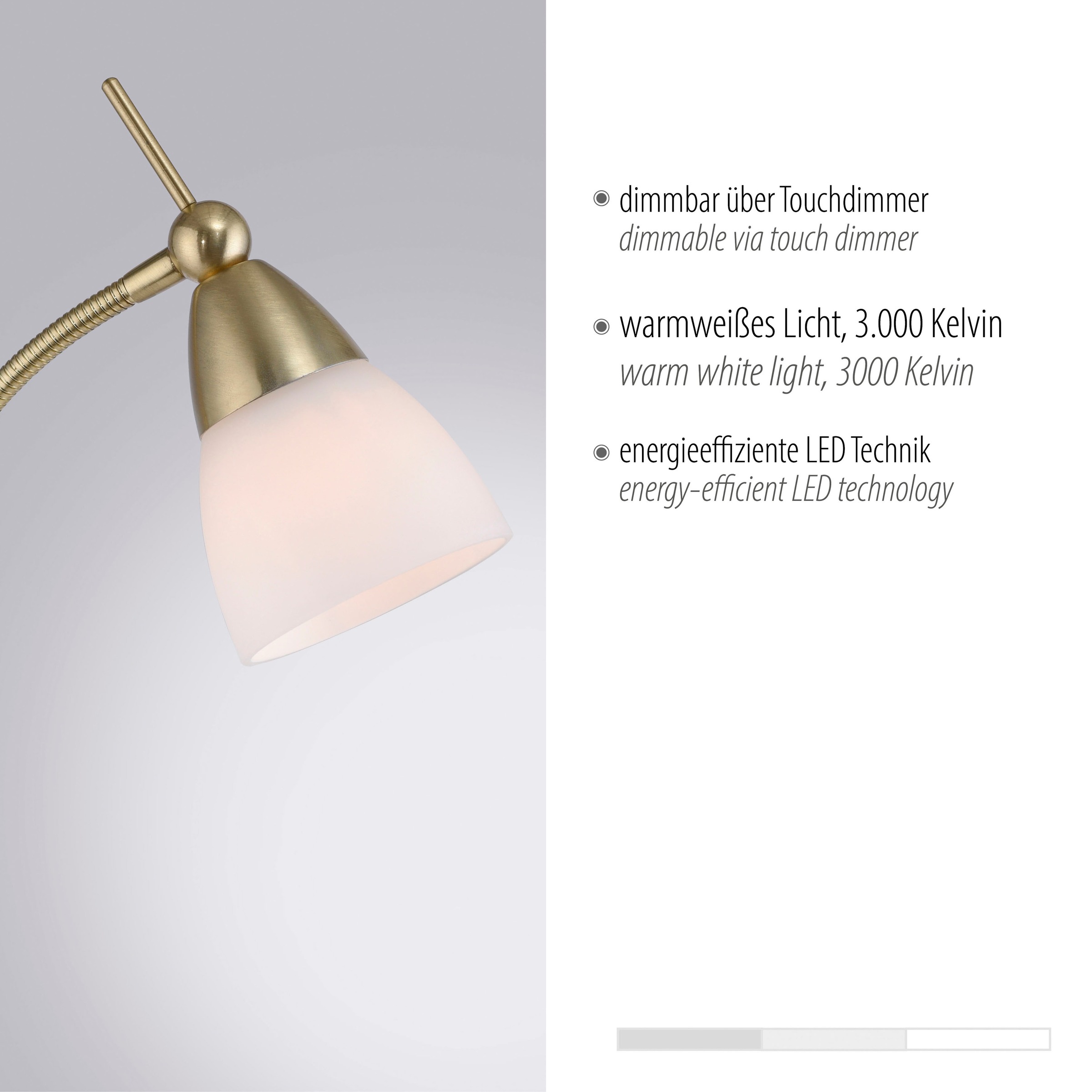 Paul Neuhaus Stehlampe »PINO«, 1 flammig, Leuchtmittel G9 | LED wechselbar