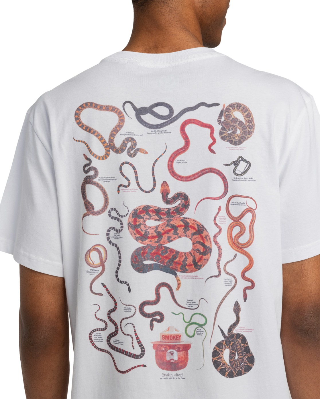 Element T-Shirt »SBXE Nest«