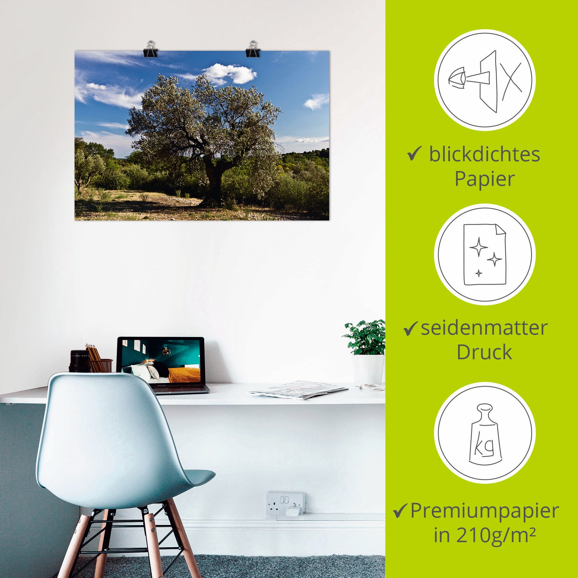 Artland Wandbild »Olivenbaum in Südfrankreich«, Bäume, (1 St.), als Alubild, Outdoorbild, Leinwandbild, Poster in verschied. Größen