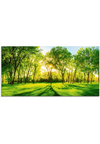 Artland Glasbild »Frühlingswärme II«, Wiesen & Bäume, (1 St.), in verschiedenen Größen kaufen