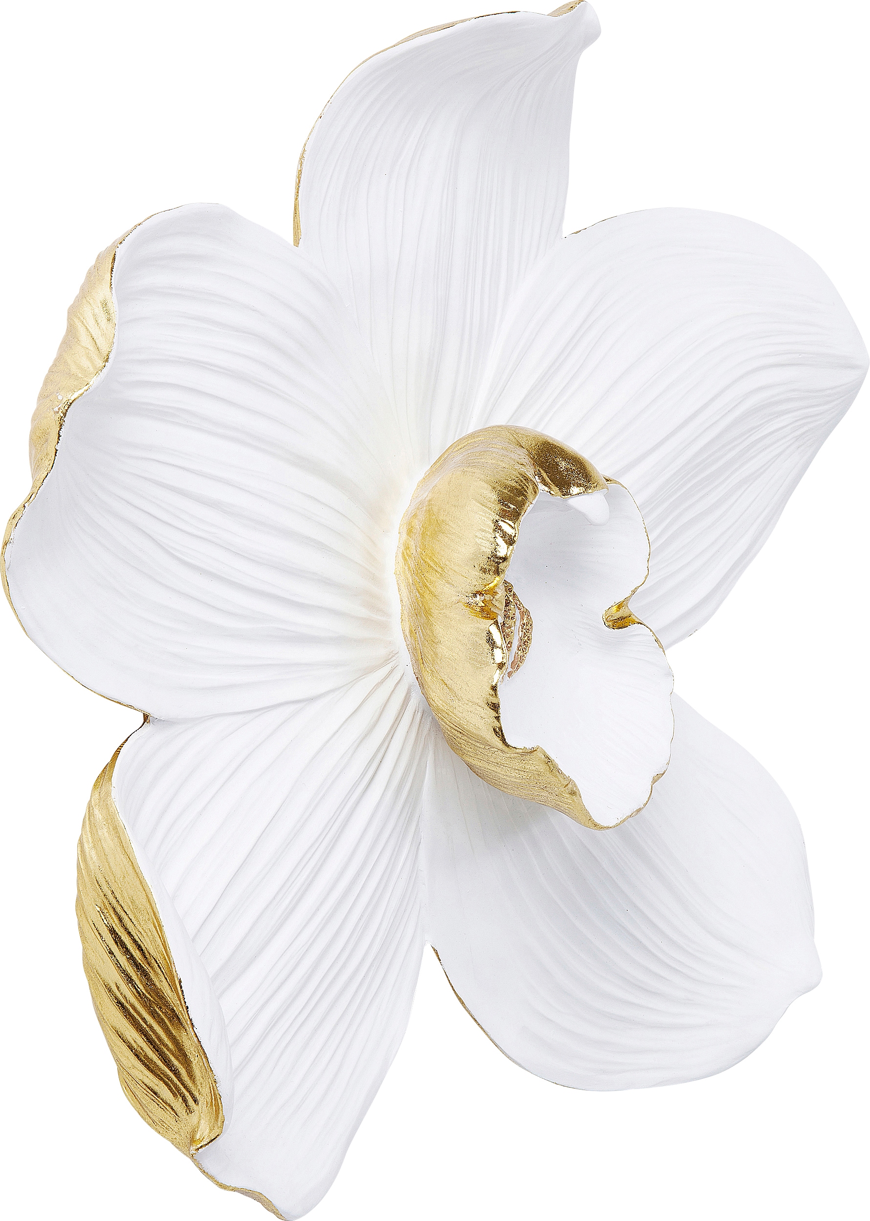 Kare Design Wanddekoobjekt »Wandschmuck Orchid Weiß 54cm«