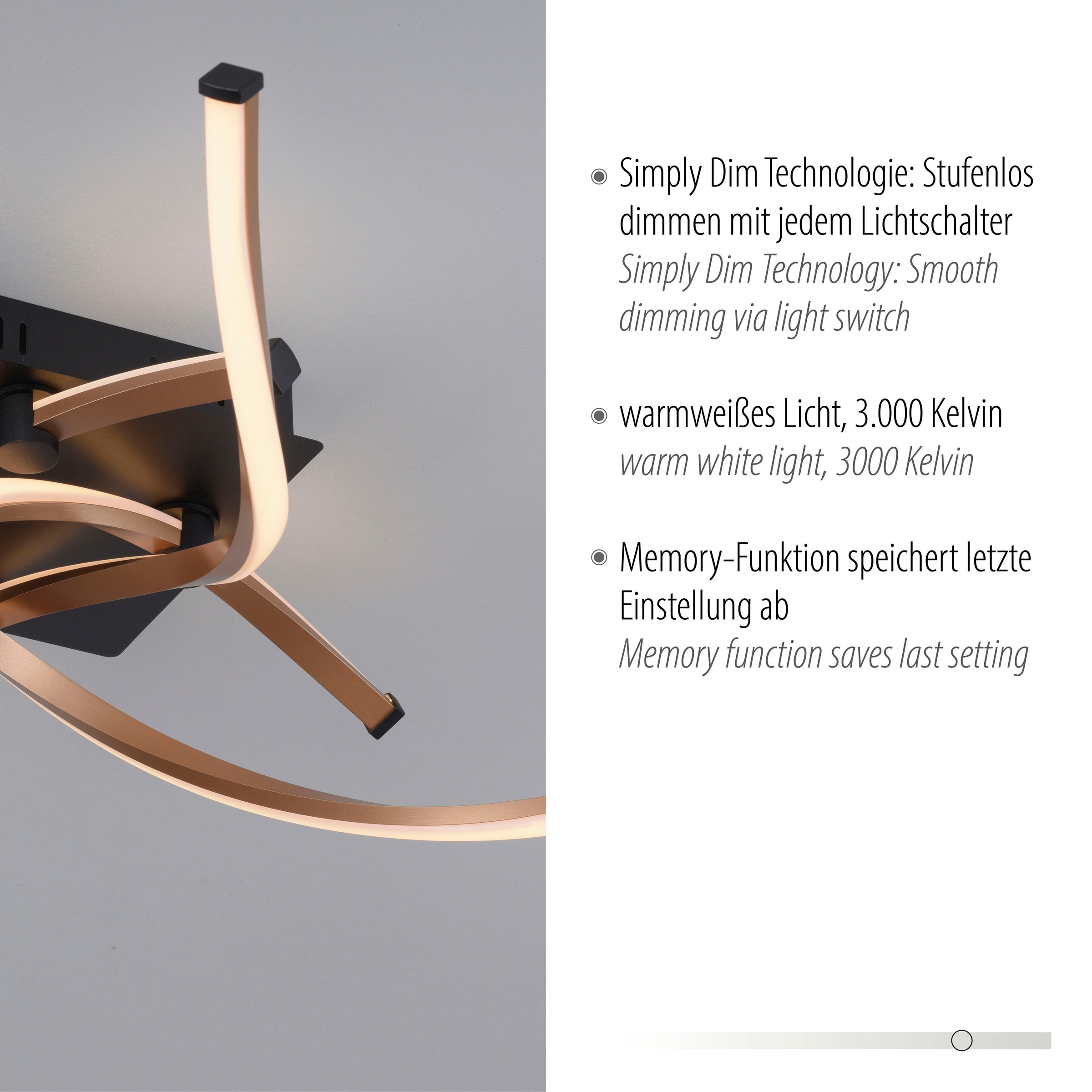 Paul Neuhaus Deckenleuchte »POLINA«, 4 flammig, Leuchtmittel LED-Board | LED fest integriert, LED, Simply Dim