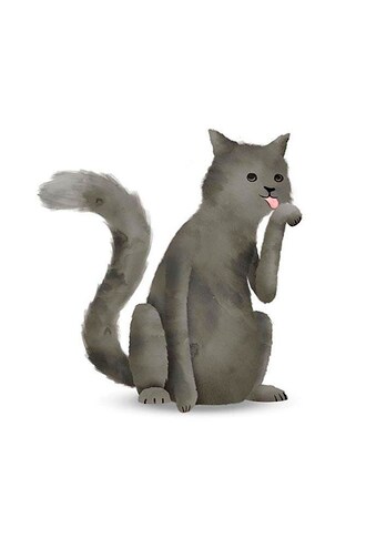 Komar Poster »Cute Animal Cat«, Tiere, Höhe: 70cm kaufen