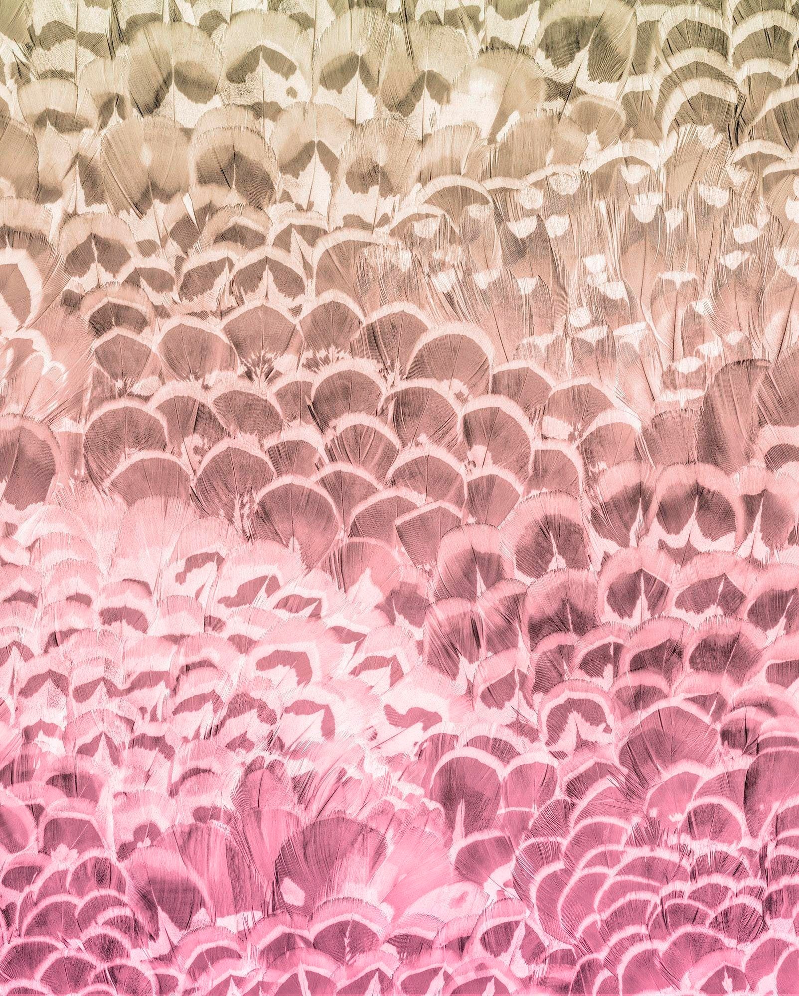 Komar Vliestapete »Pure Pale Feathers«, naturalistisch